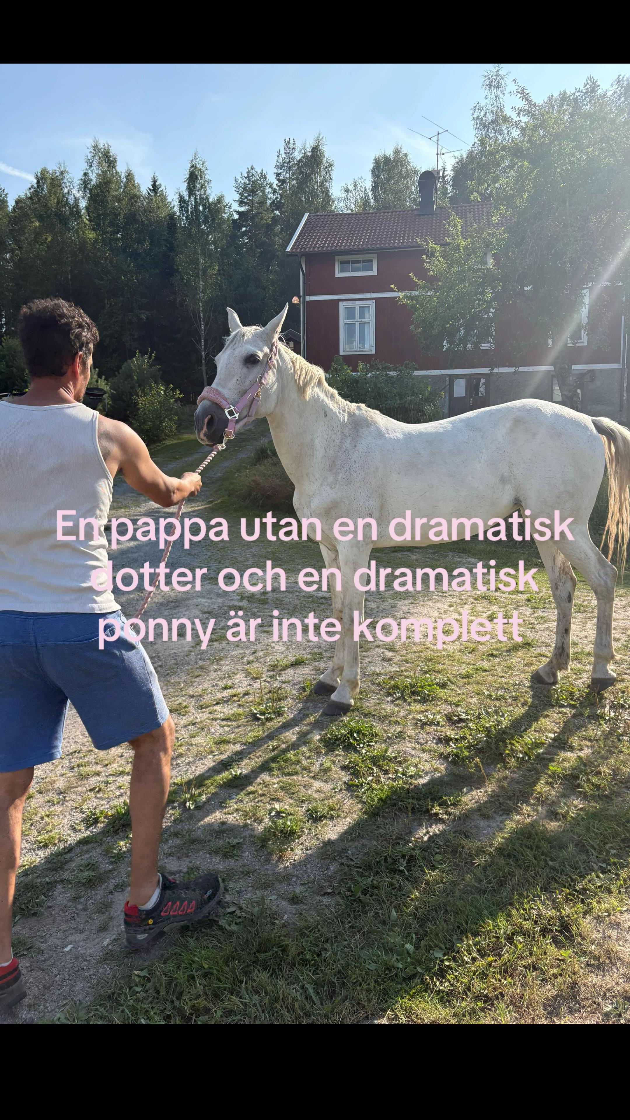 @Ronja 👸🏼