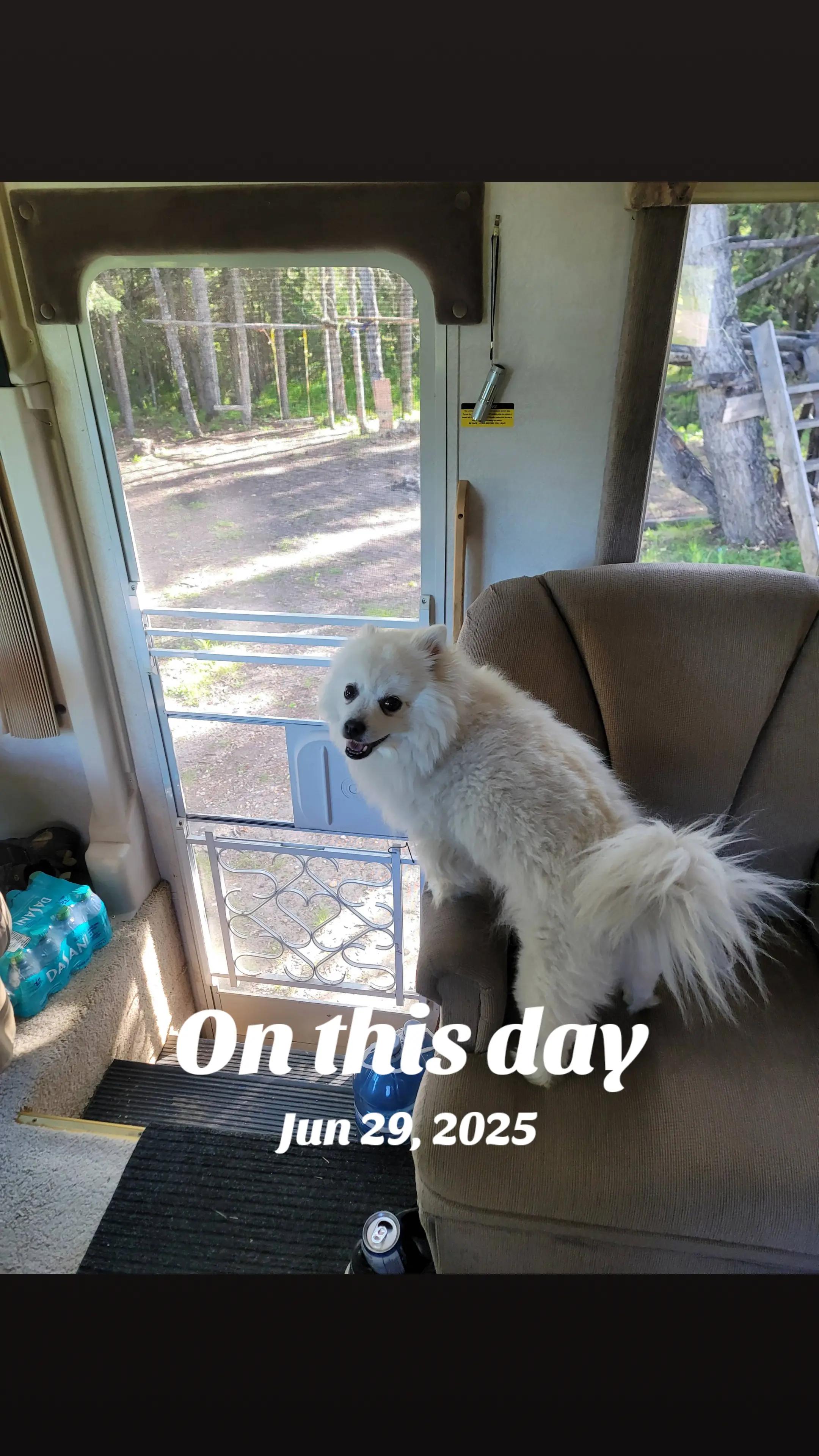 @Jayne(Janaya)✝️🐾☕️