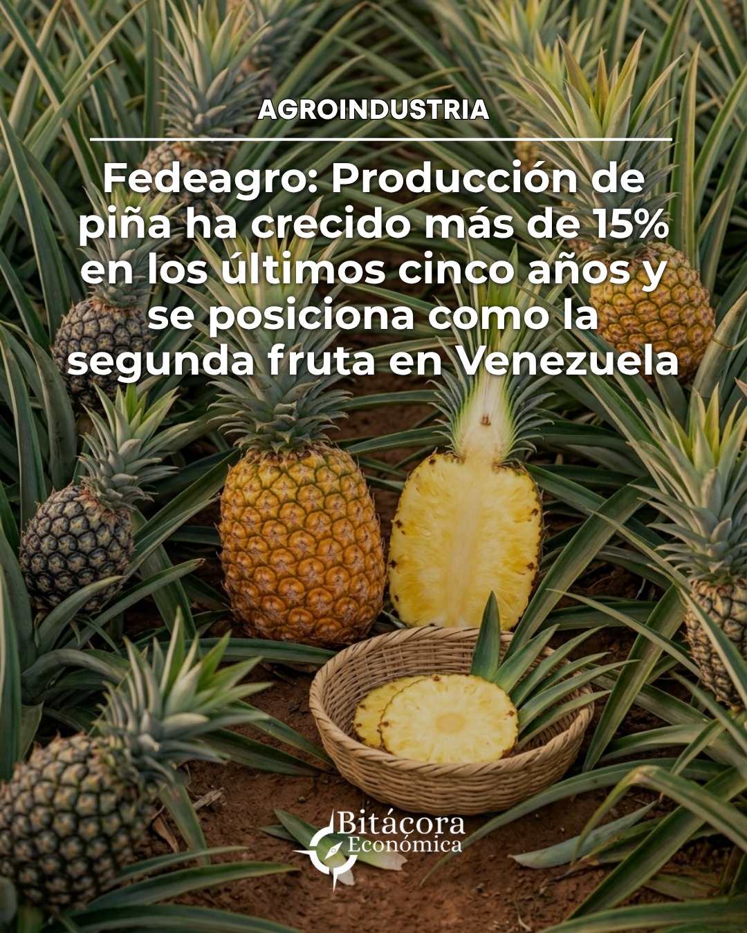 @Bitácora Económica