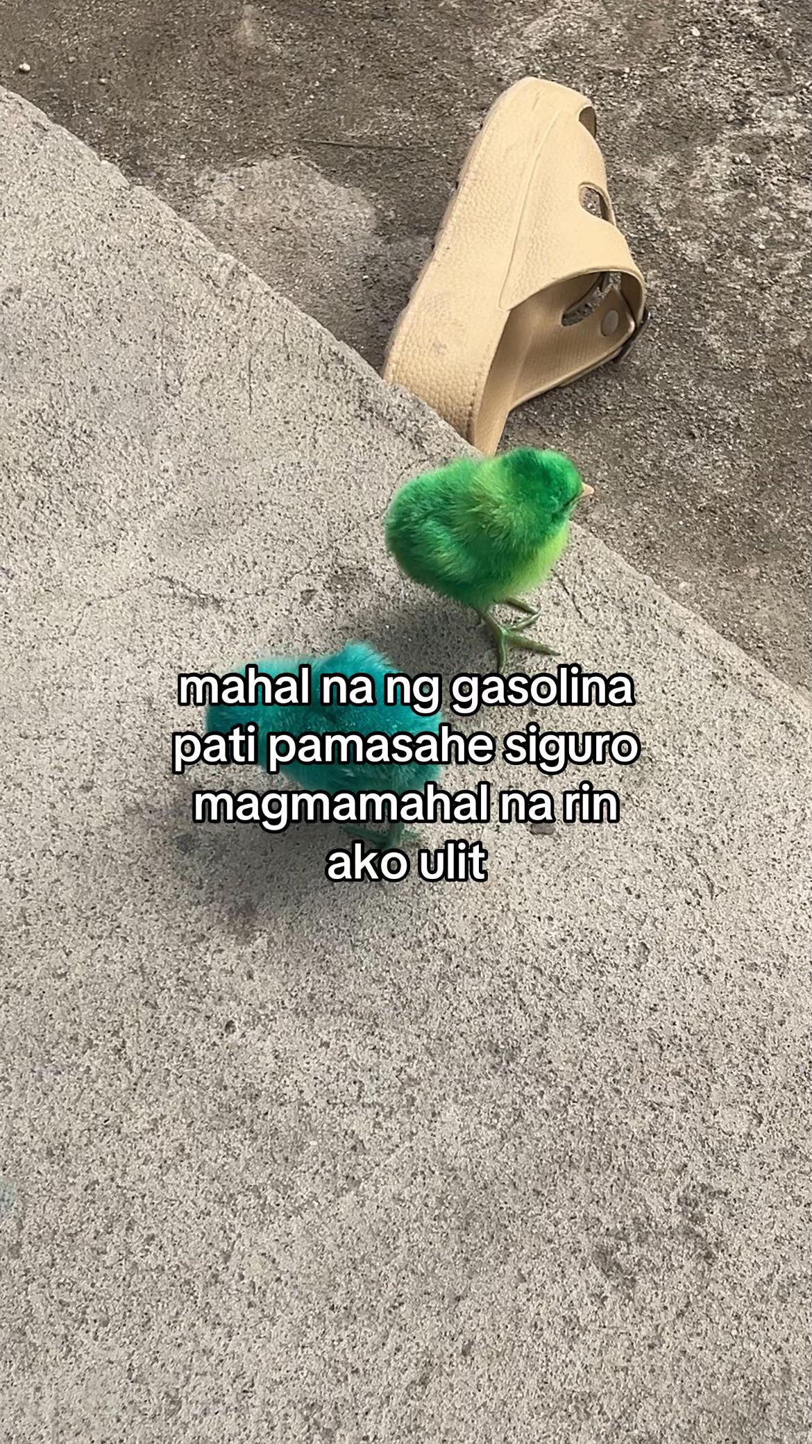 @mgatarantadoahahahahaha