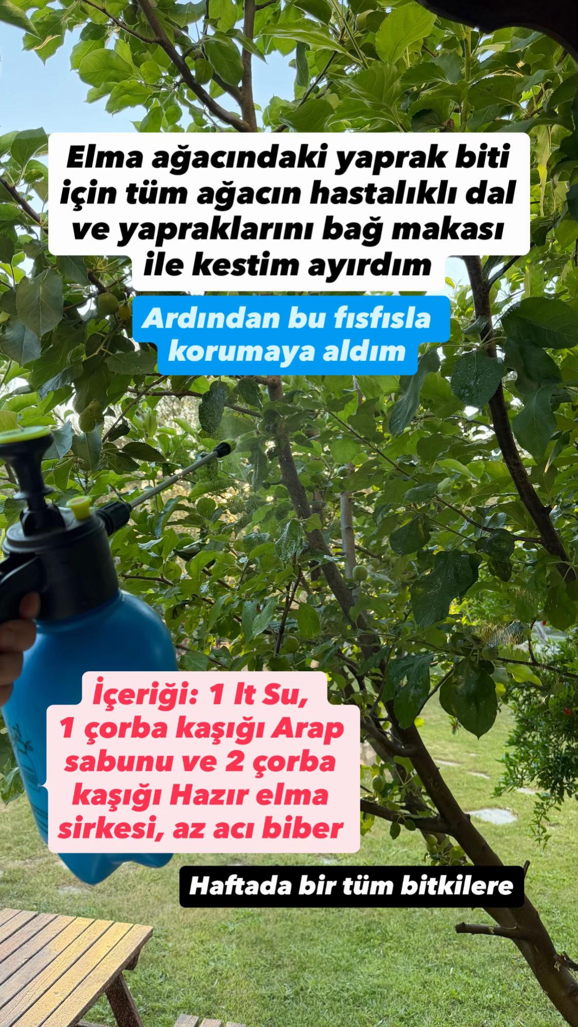@Erdem &Ouml;ner