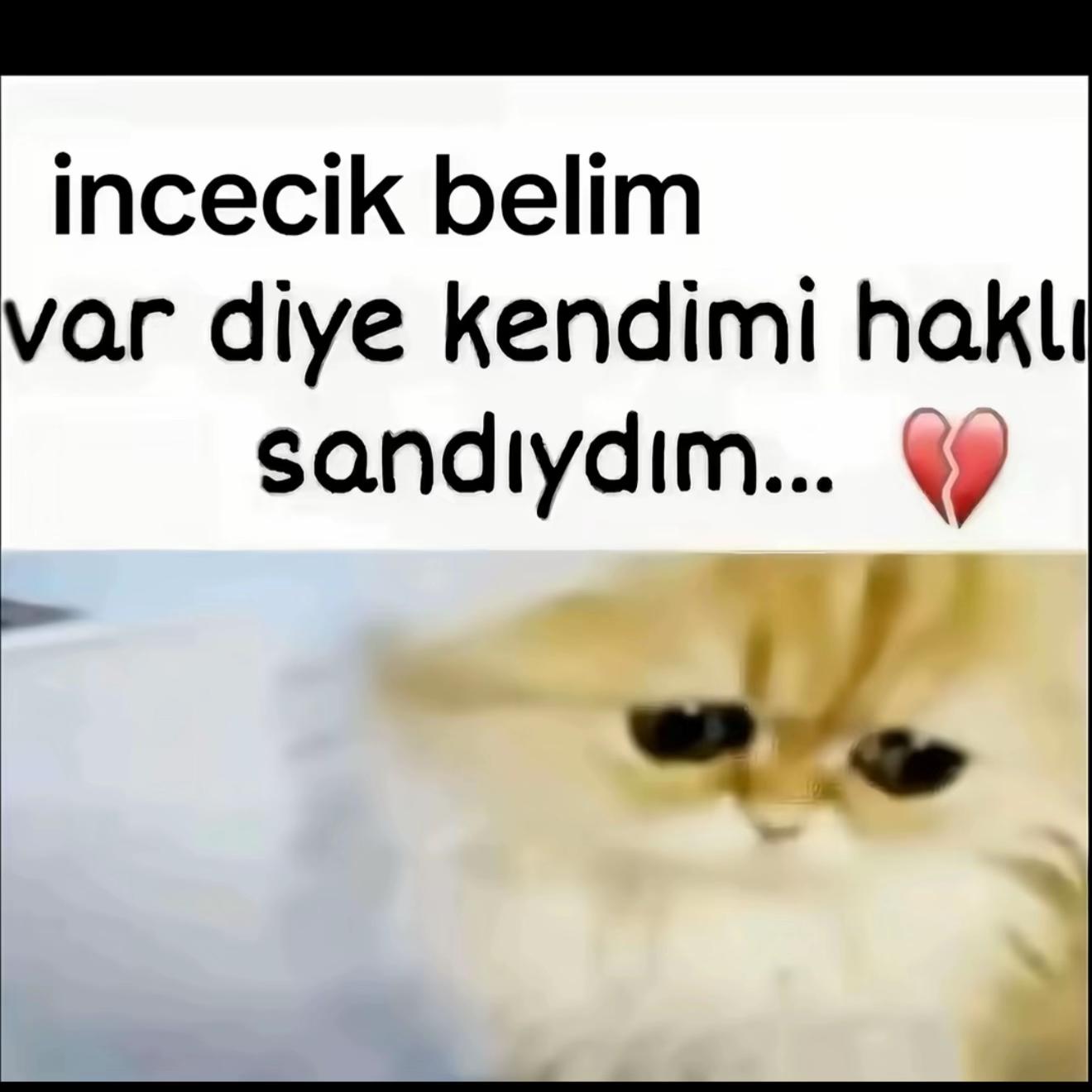 @love777