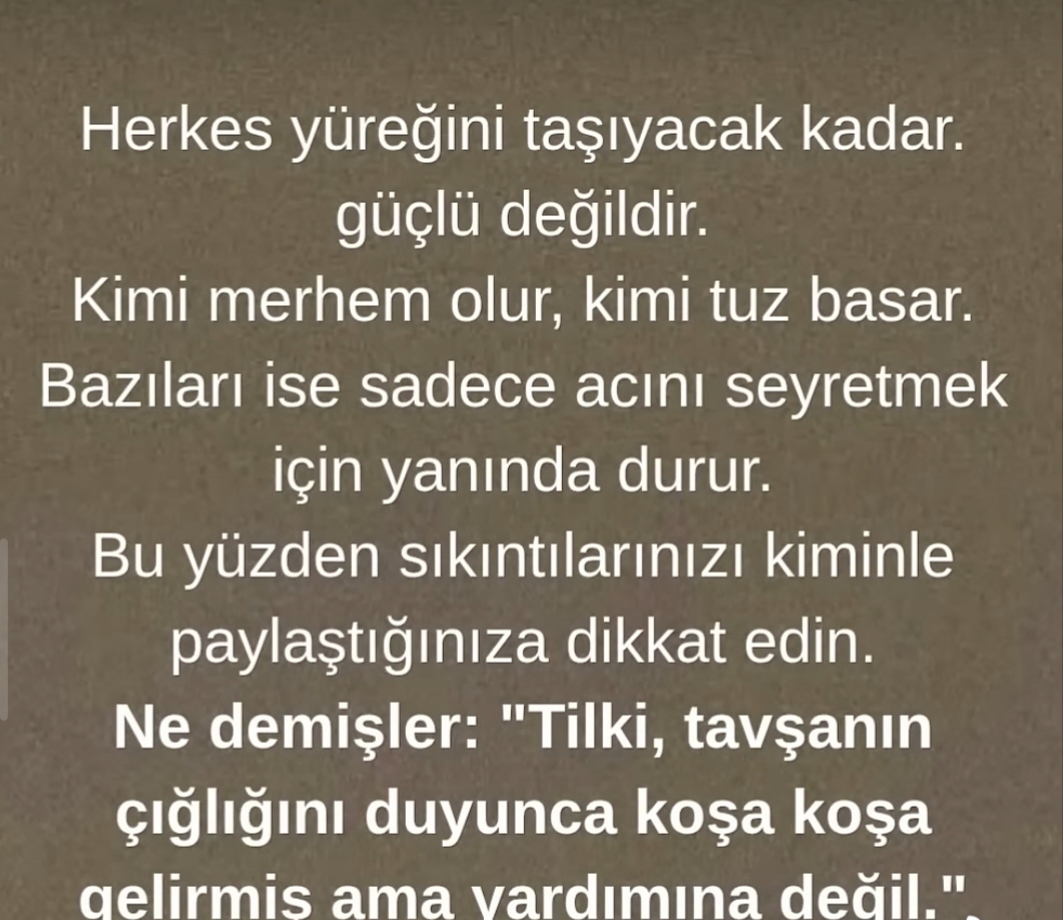 @Sibel Oktay