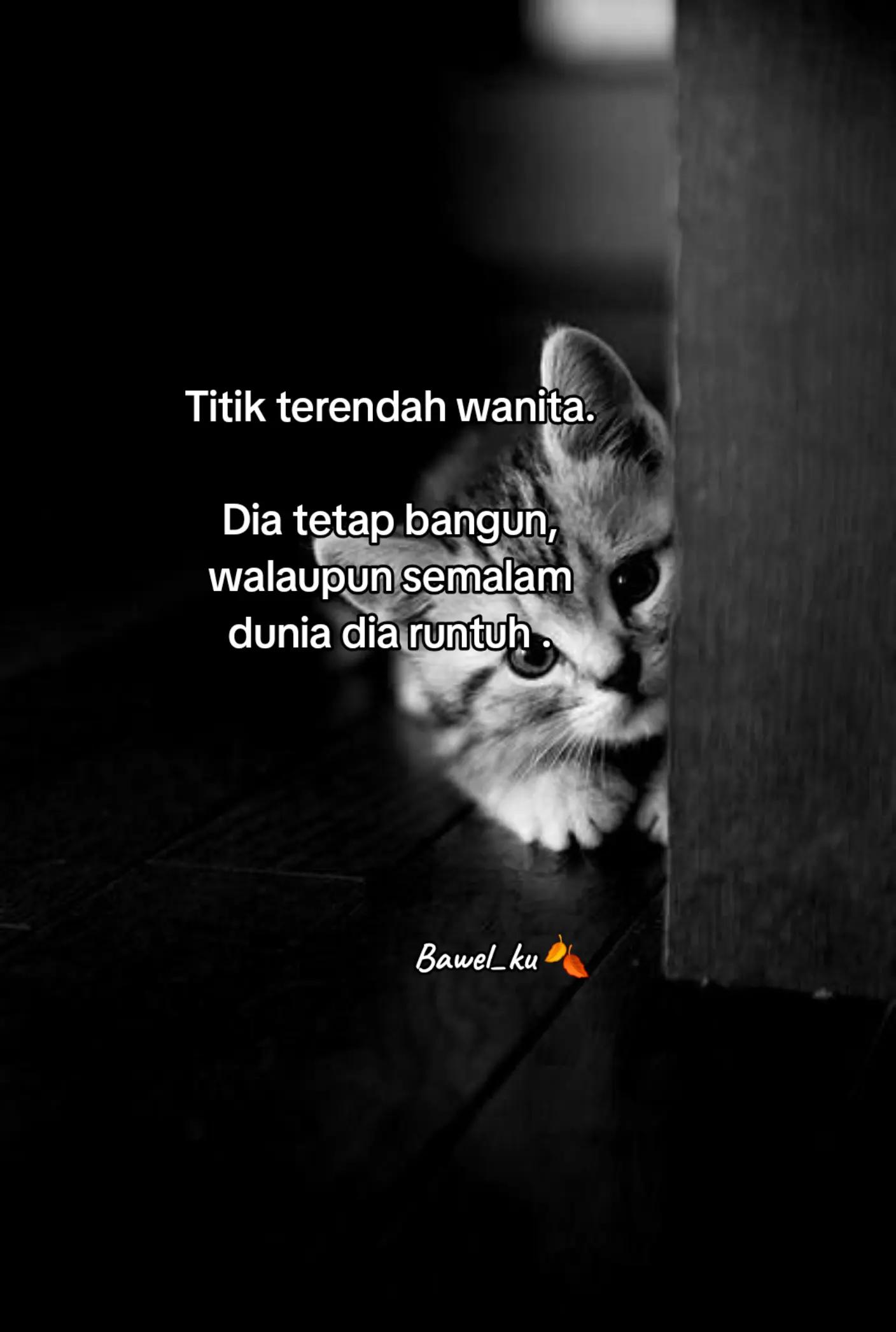 @Bawel_ku๐