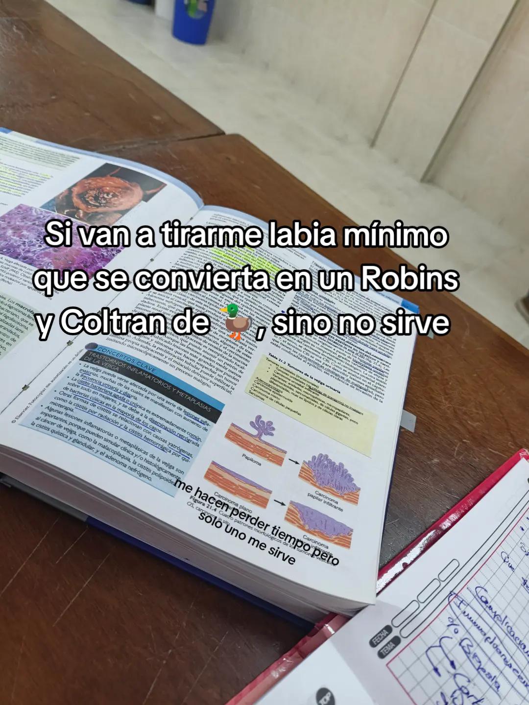@Maite H Rojas