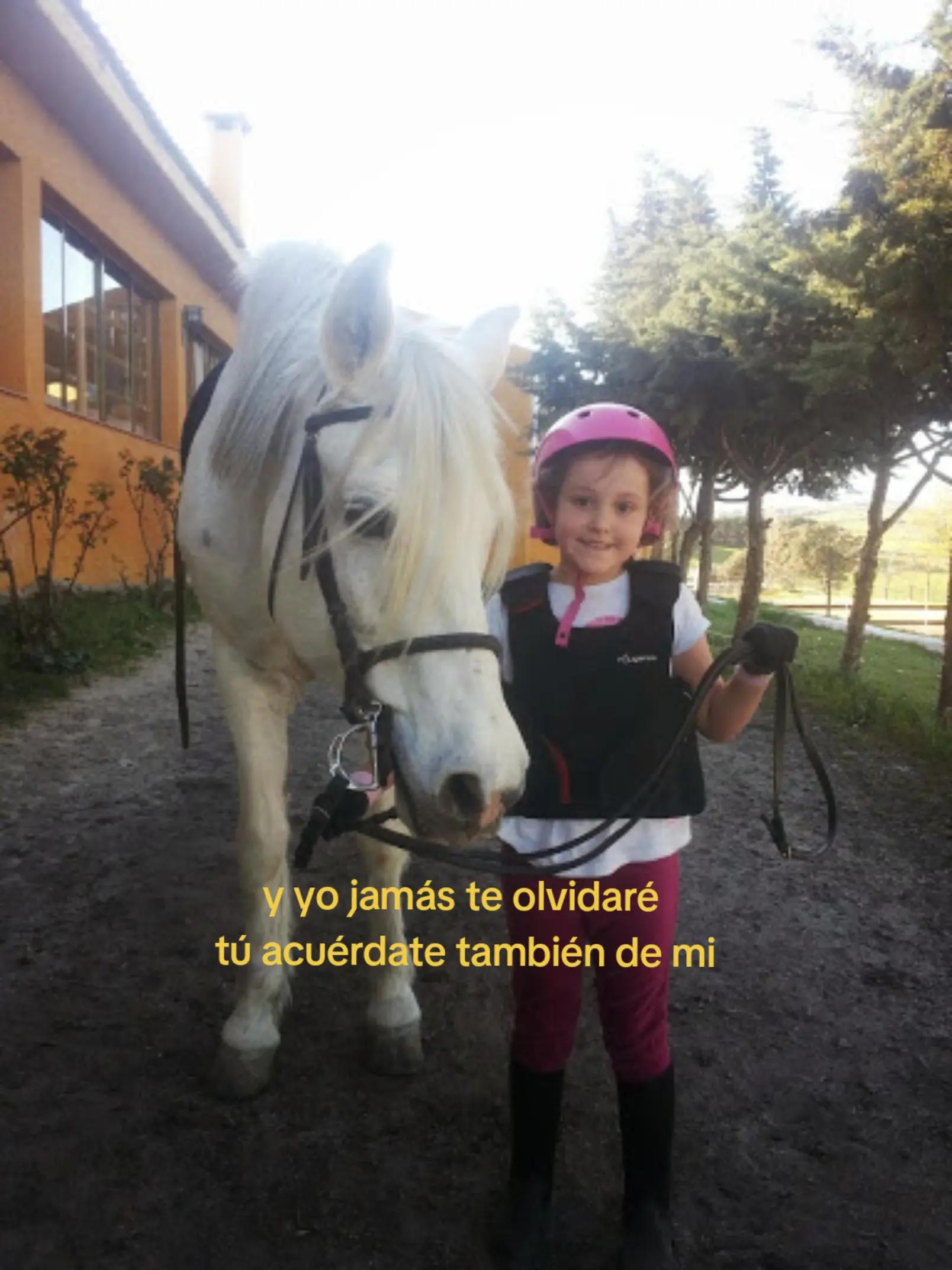 @DiarioOcultoLasPalomas✨