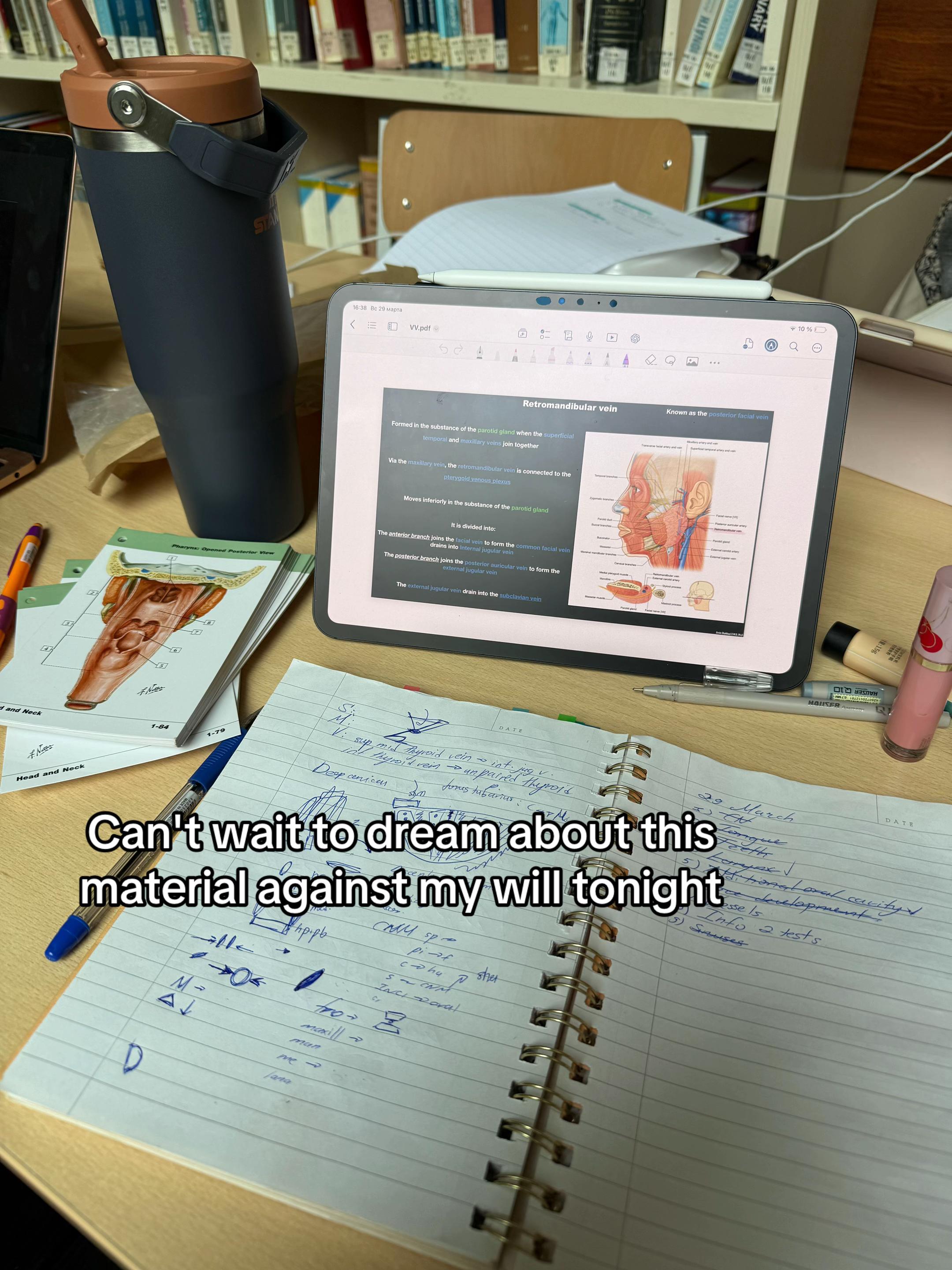 @sofiya ๐ฅผ๐ค