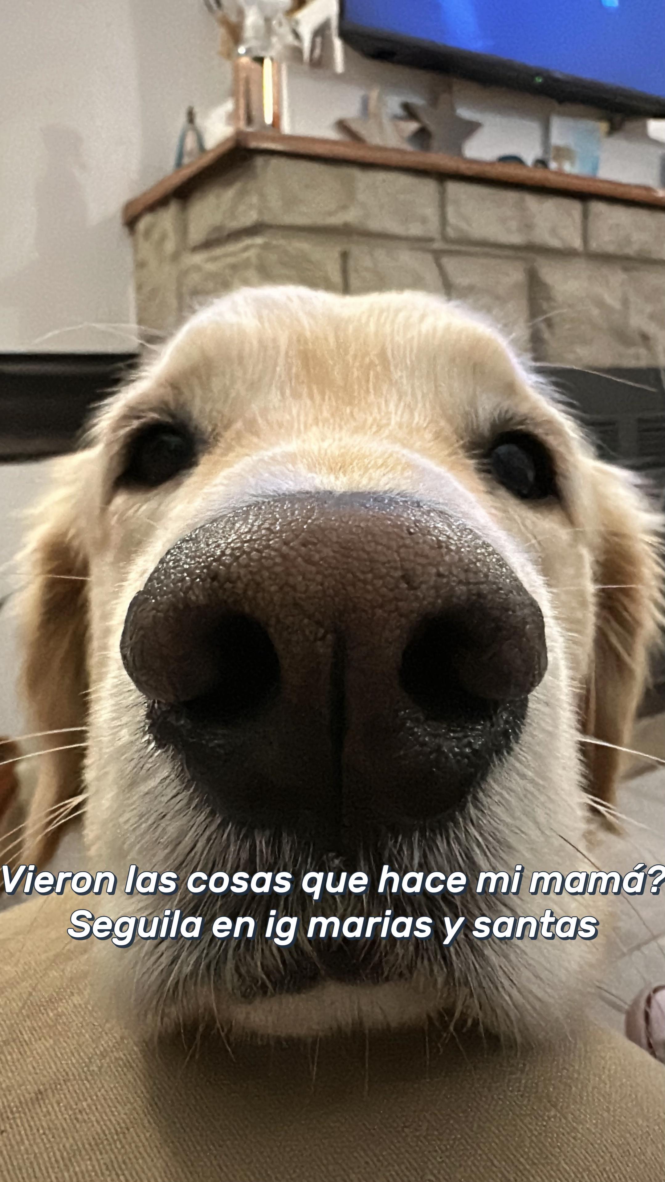 @candy