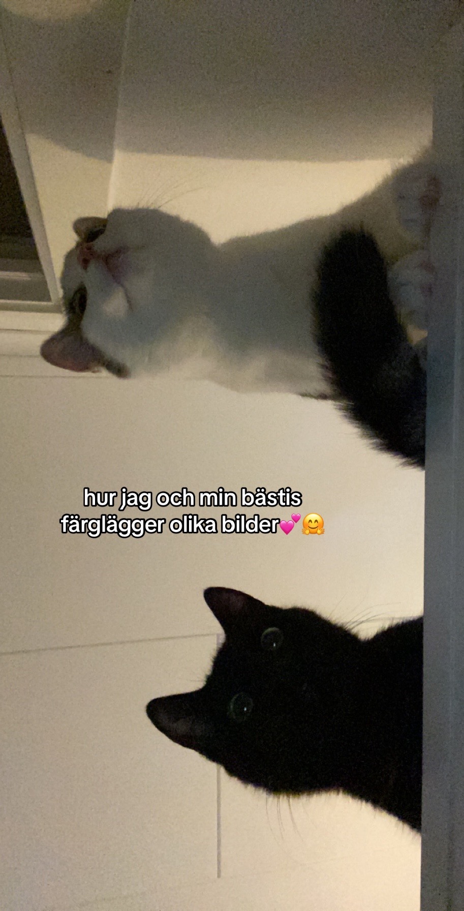 @Stinis