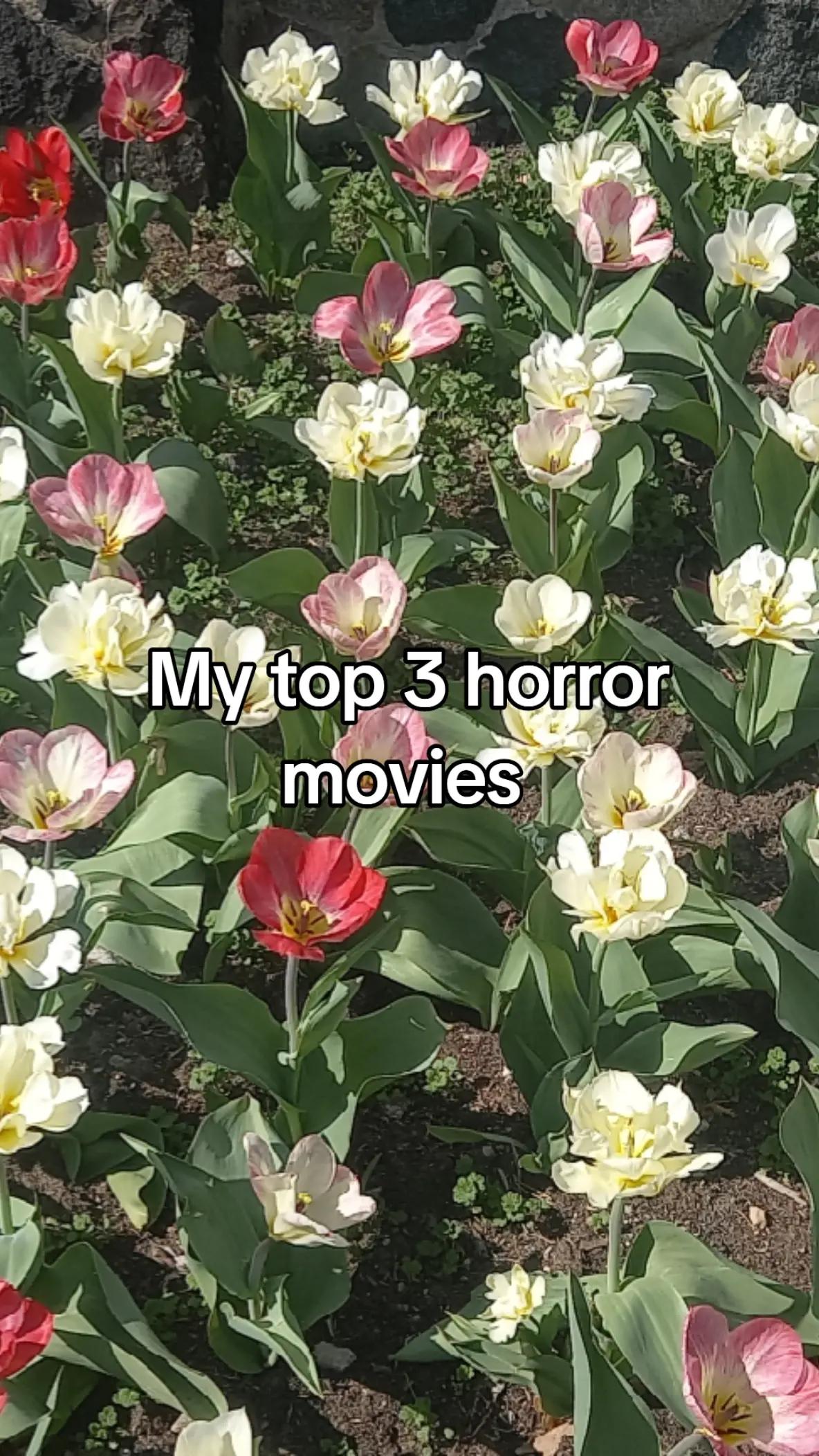 @💿🛼🕷FW_AVATAR_RE🦇🛸🌙