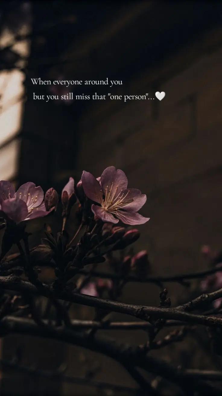 @𝓖.𝓢𝓪𝓻𝓪𝓼𝔀𝓪𝓽𝓱𝓲❤️