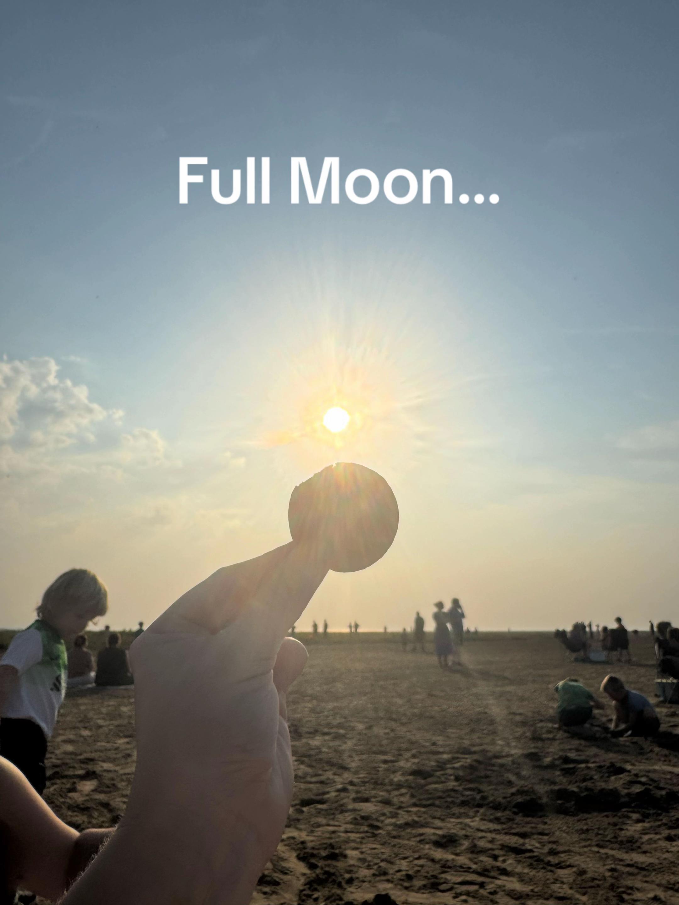 @Tash | BookTok 📚
