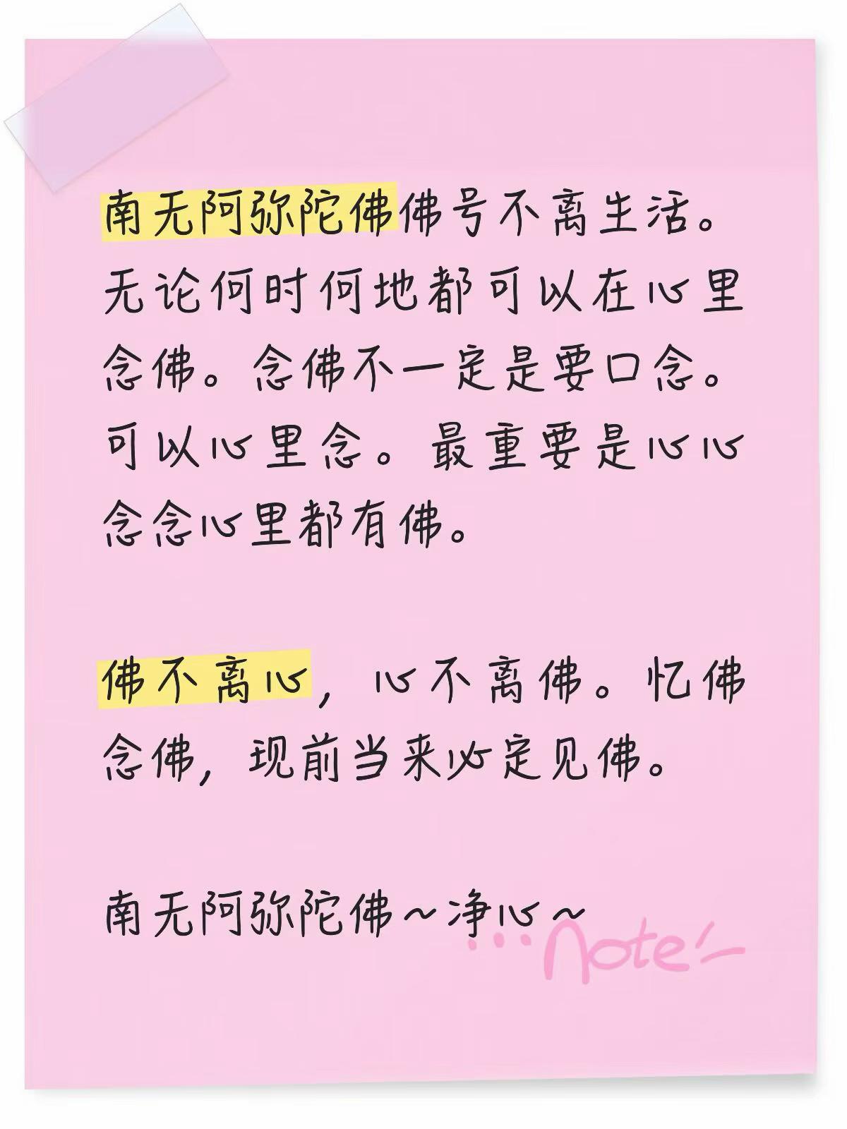 @净心