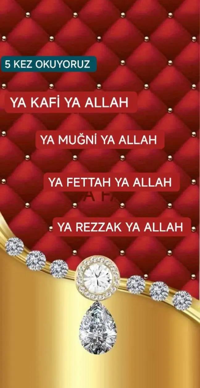 @şeenol Albayrak