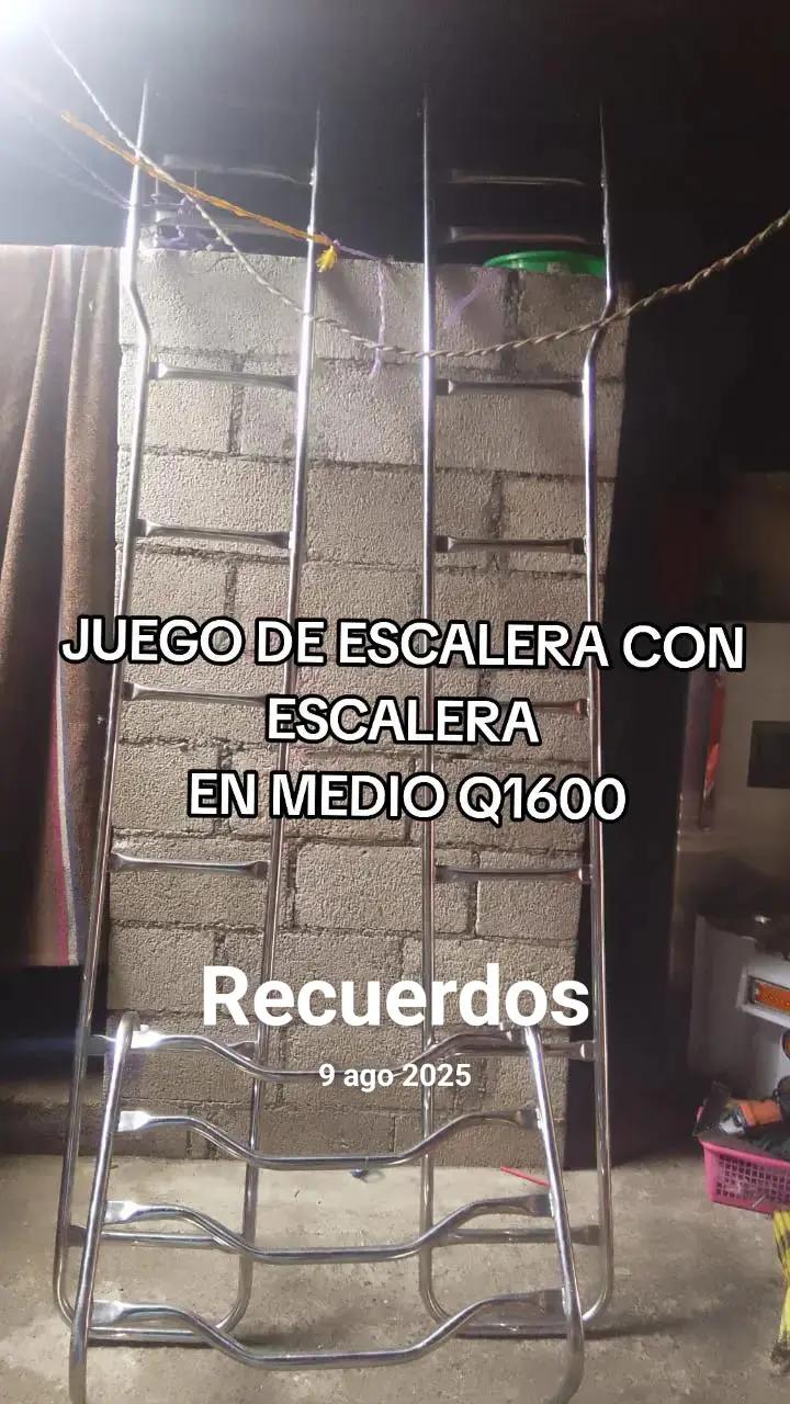 @Buses y Accesorios DG