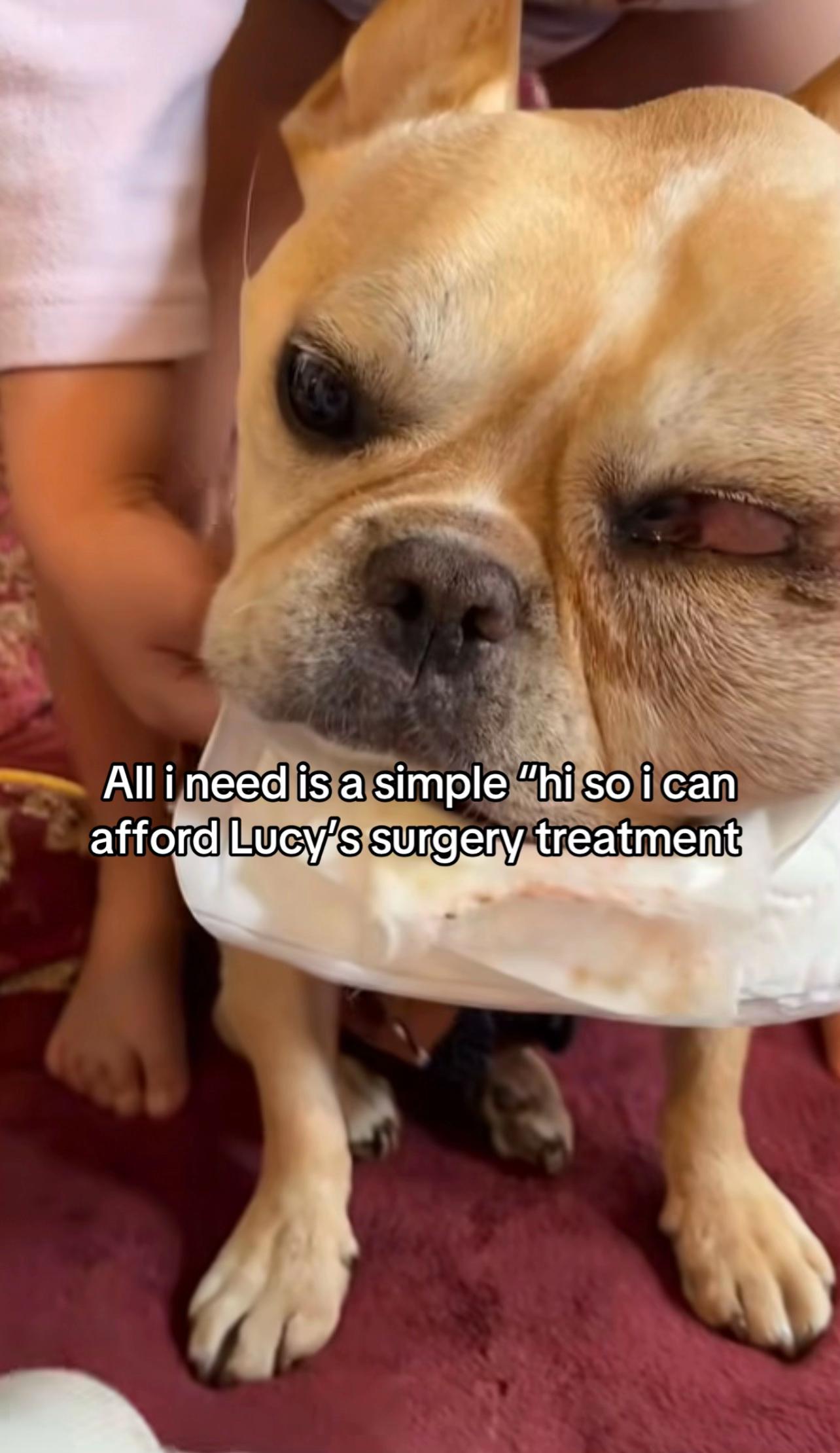 @Surgery for Lucy0