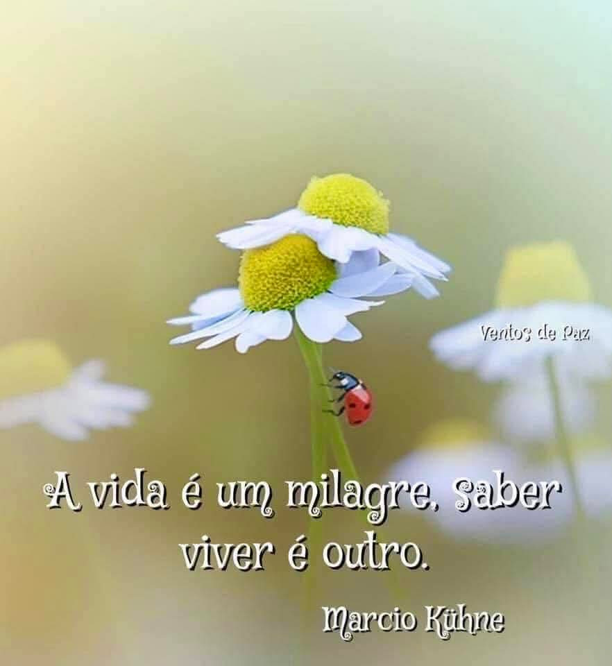 @Joaquim Antas