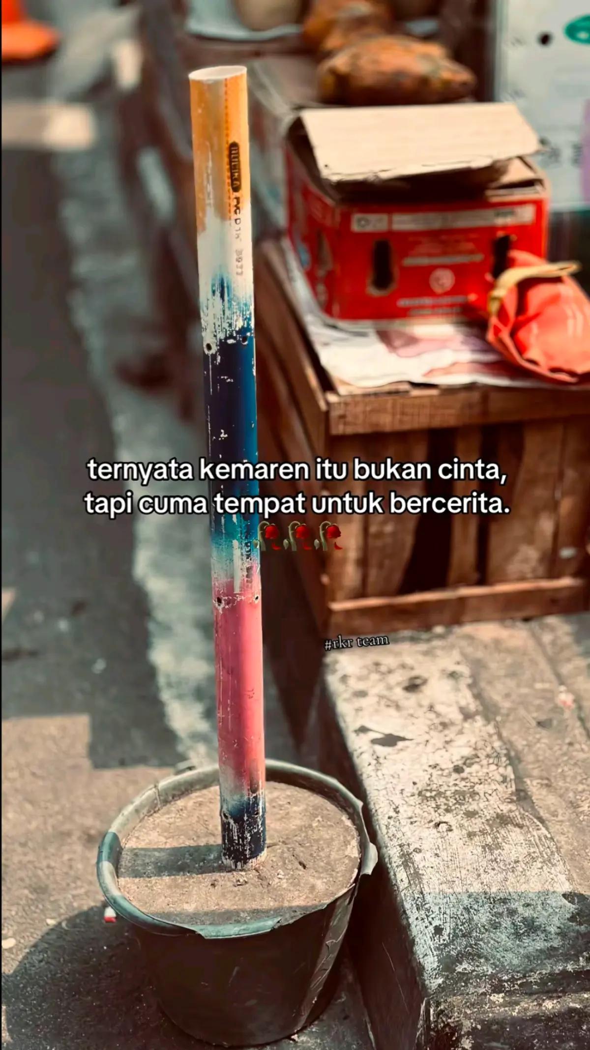 @Penguja🐊
