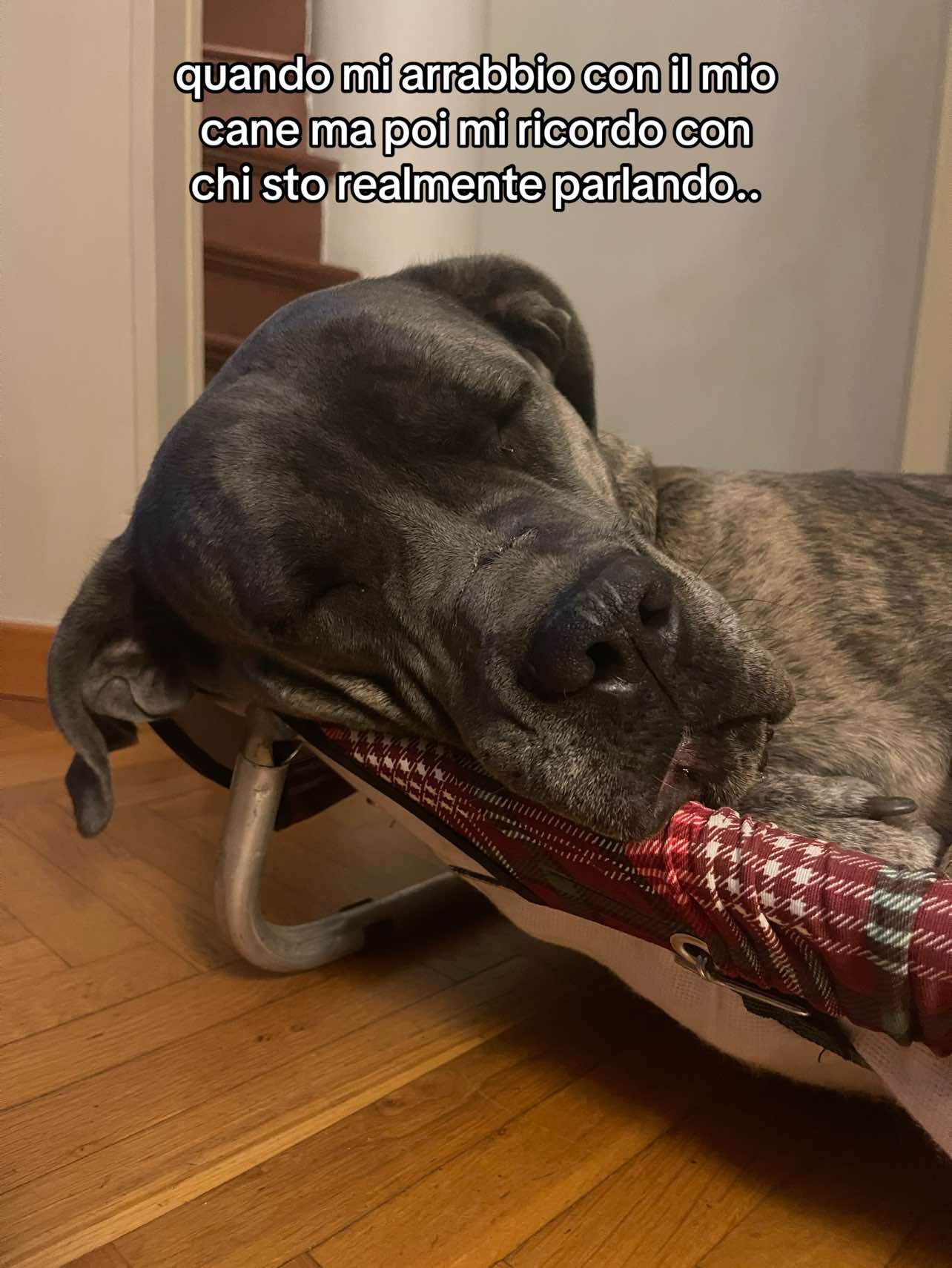@Camilla Gilardoni