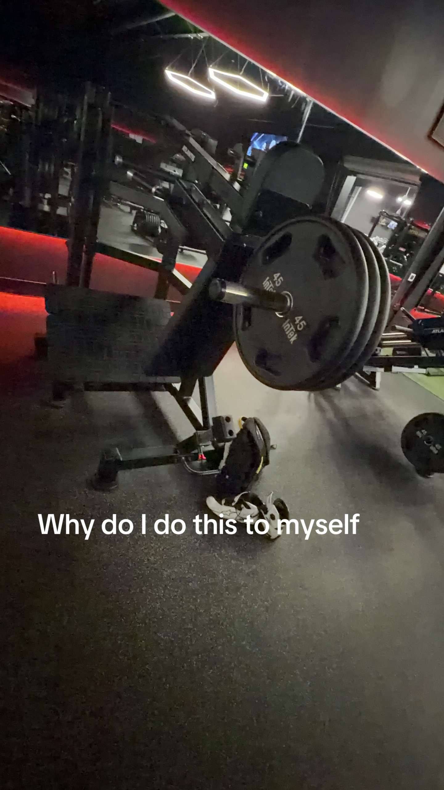 @zech.lifts