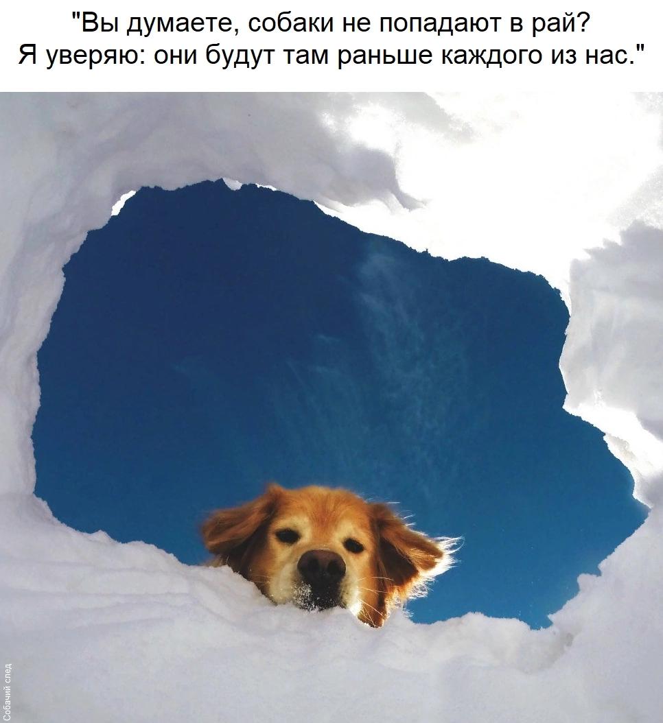@Денис Манис !