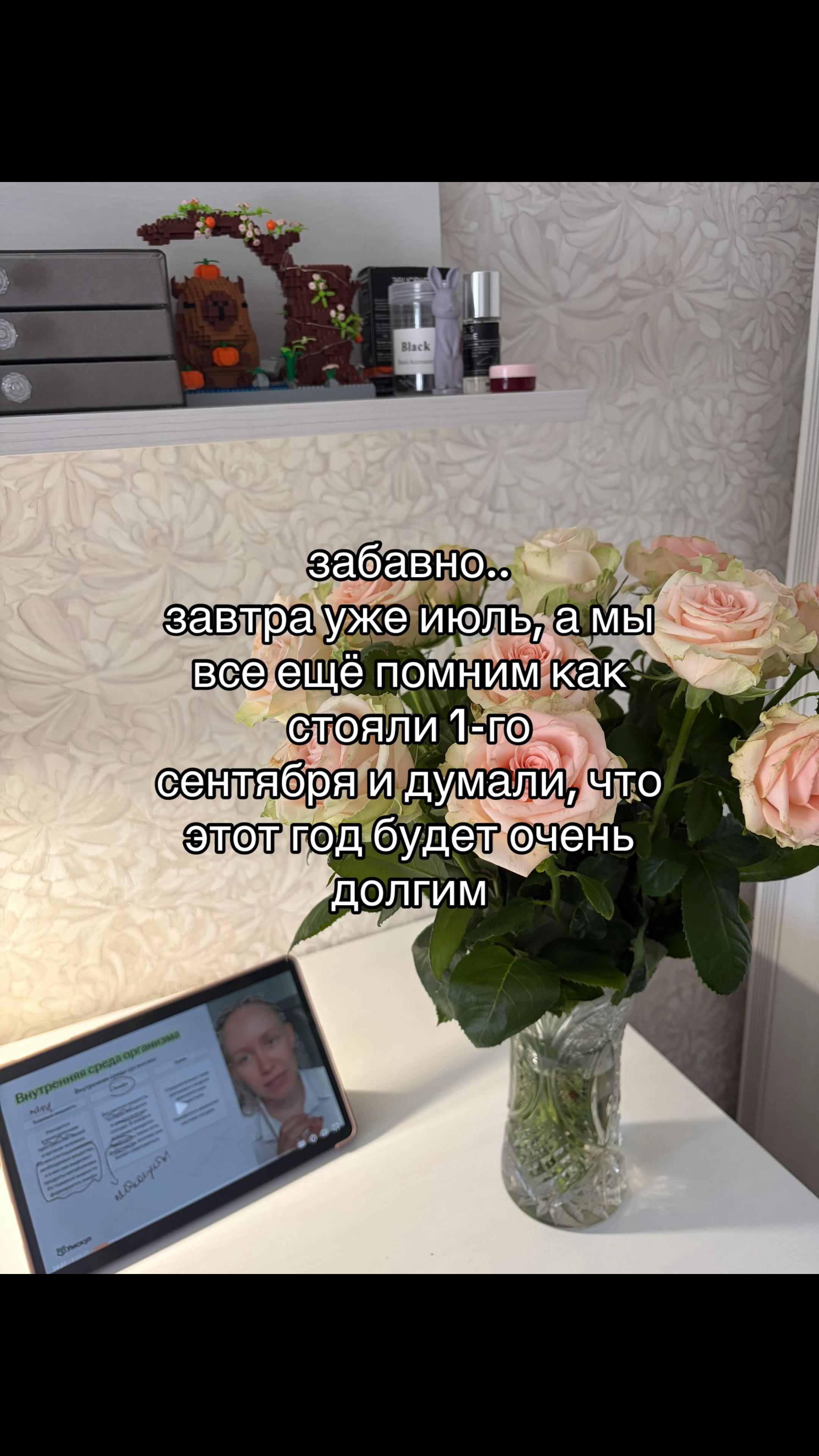 @zybrilka777