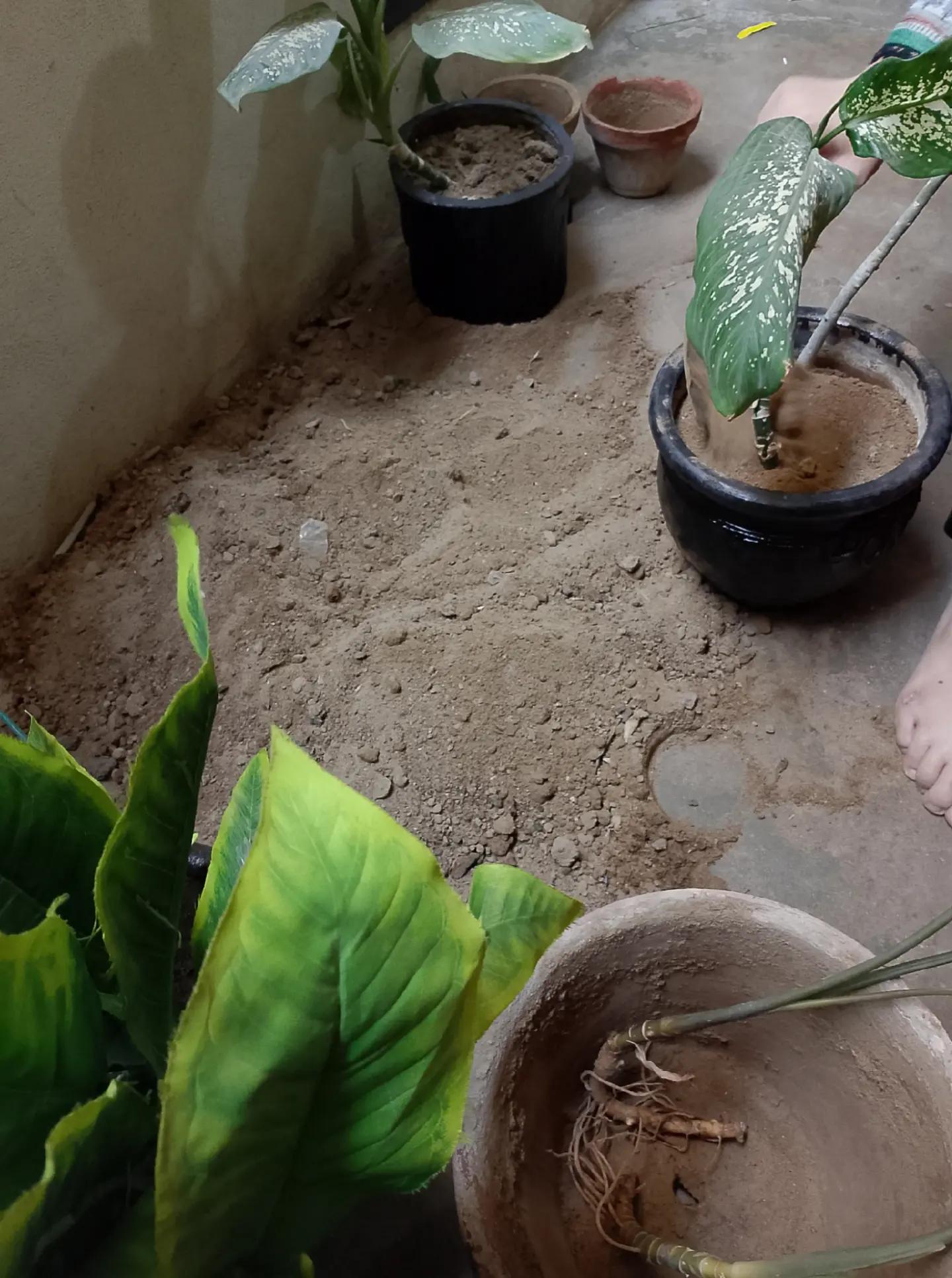 @KARDEŞ 🕷️