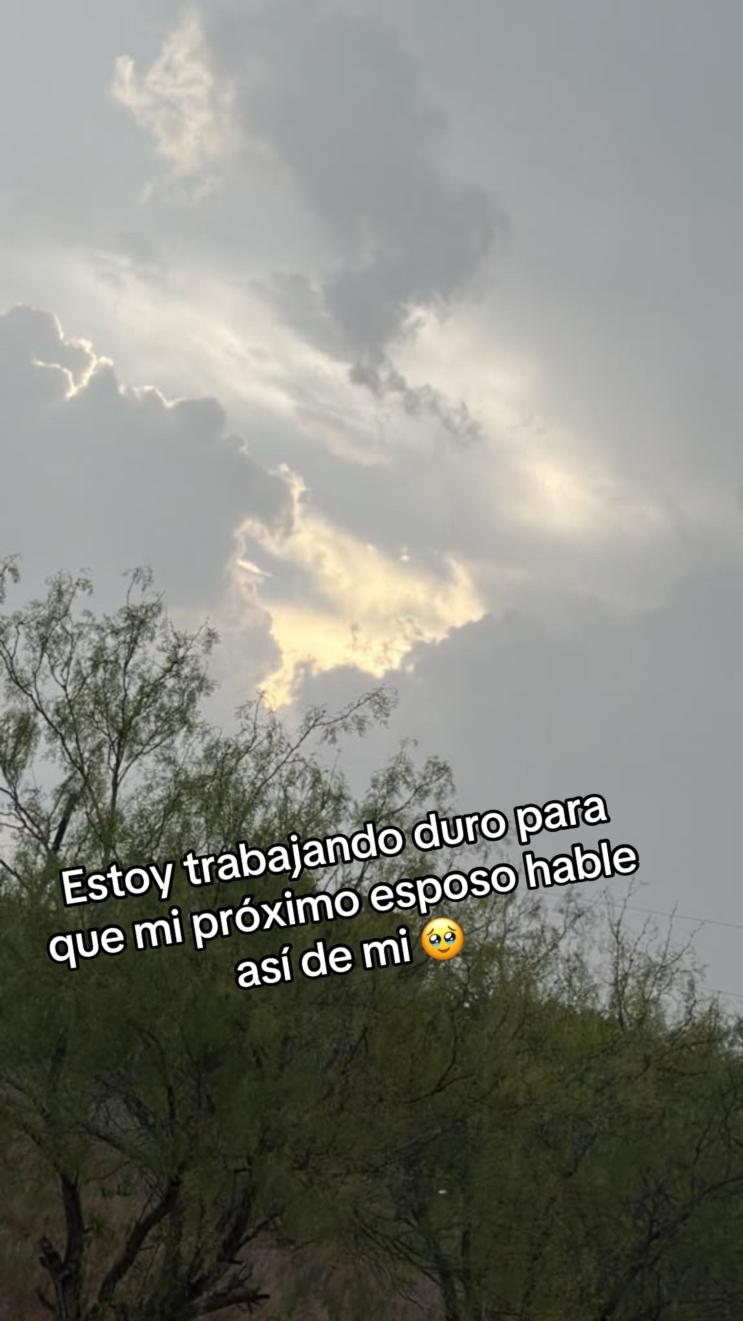 @Lourdes Rivera