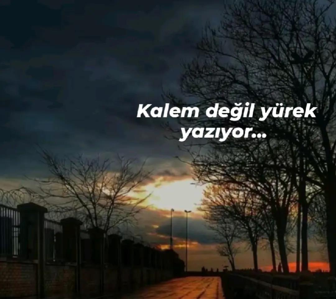 @Can2763