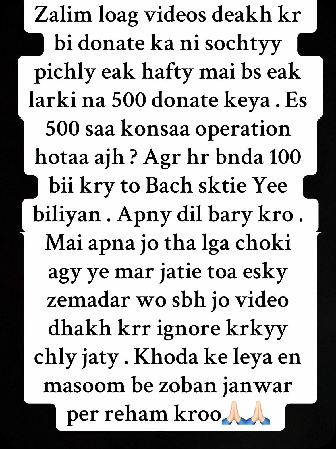@mirha.donate.for.cat