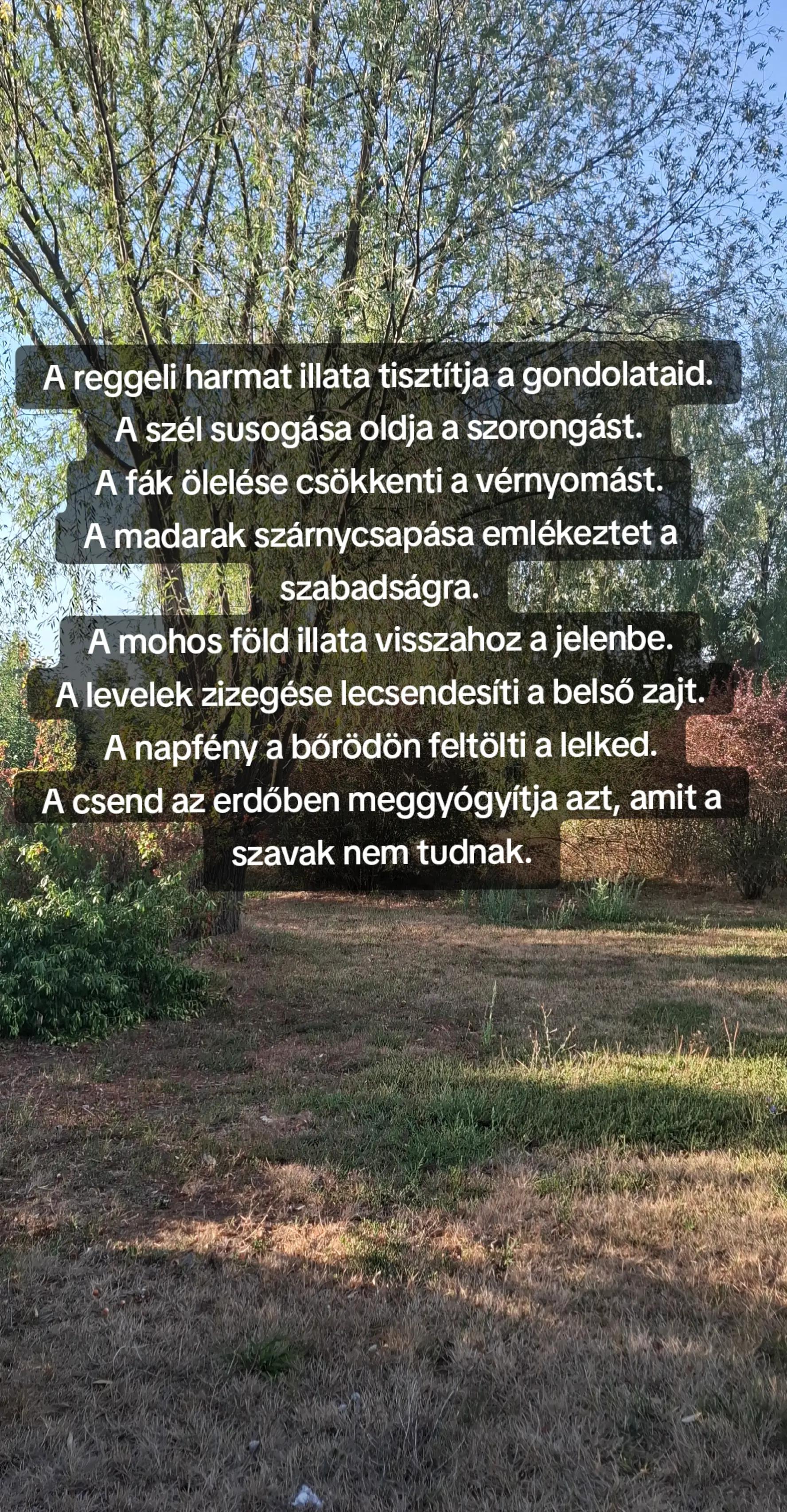 @đđźDödöllevirág đ§âïžđ