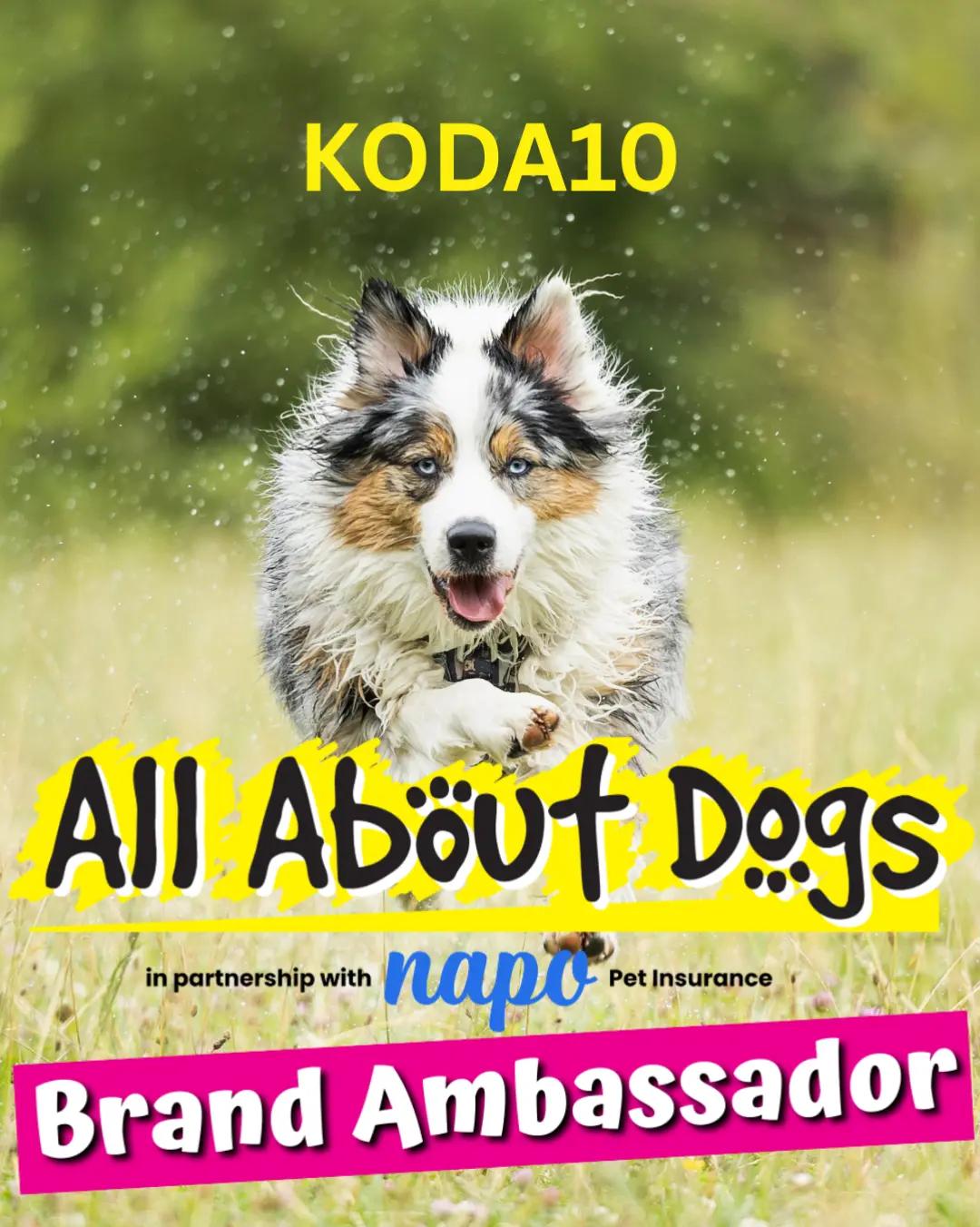 @Koda Adventures