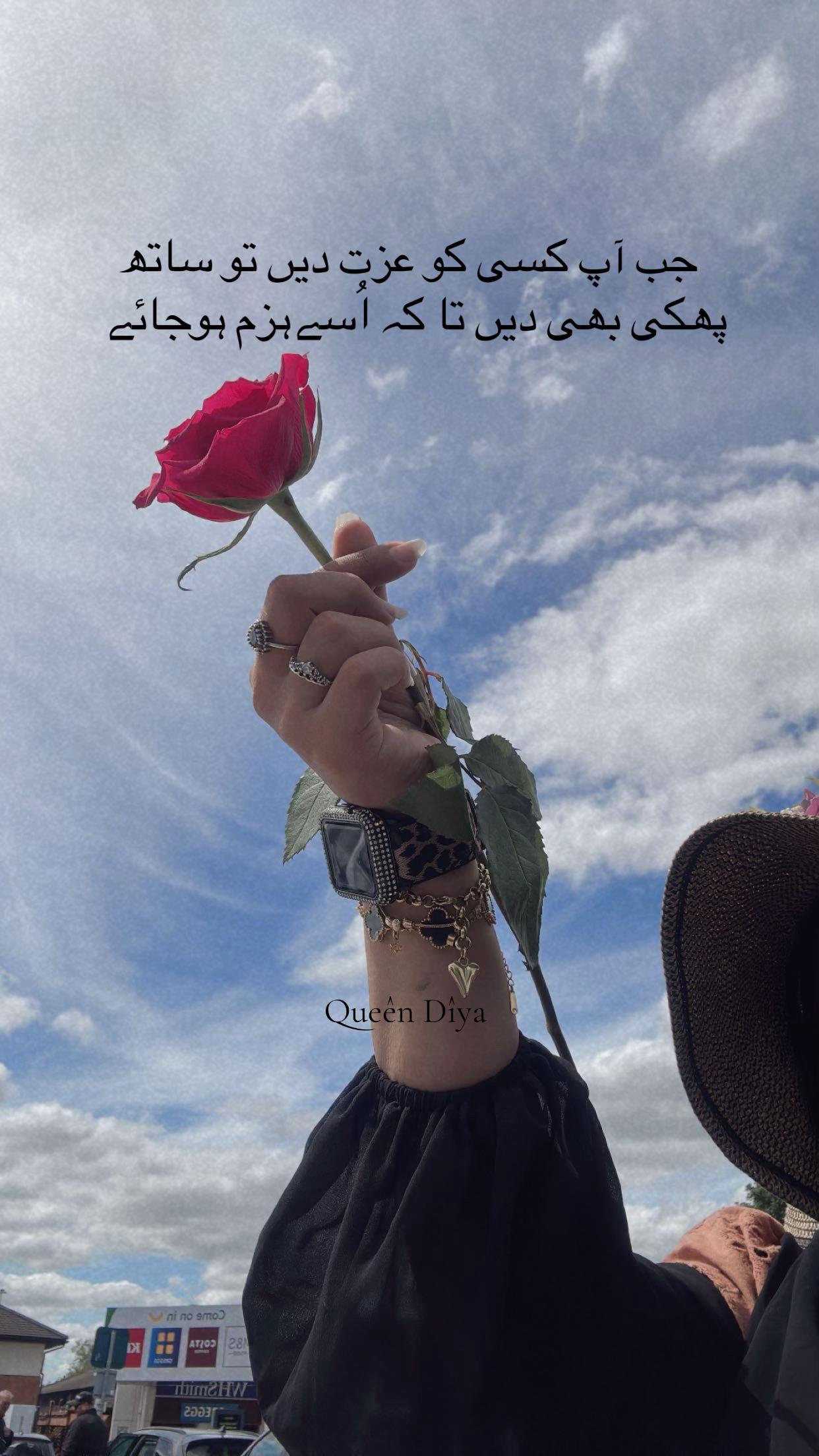 @Queen Diya Fatima