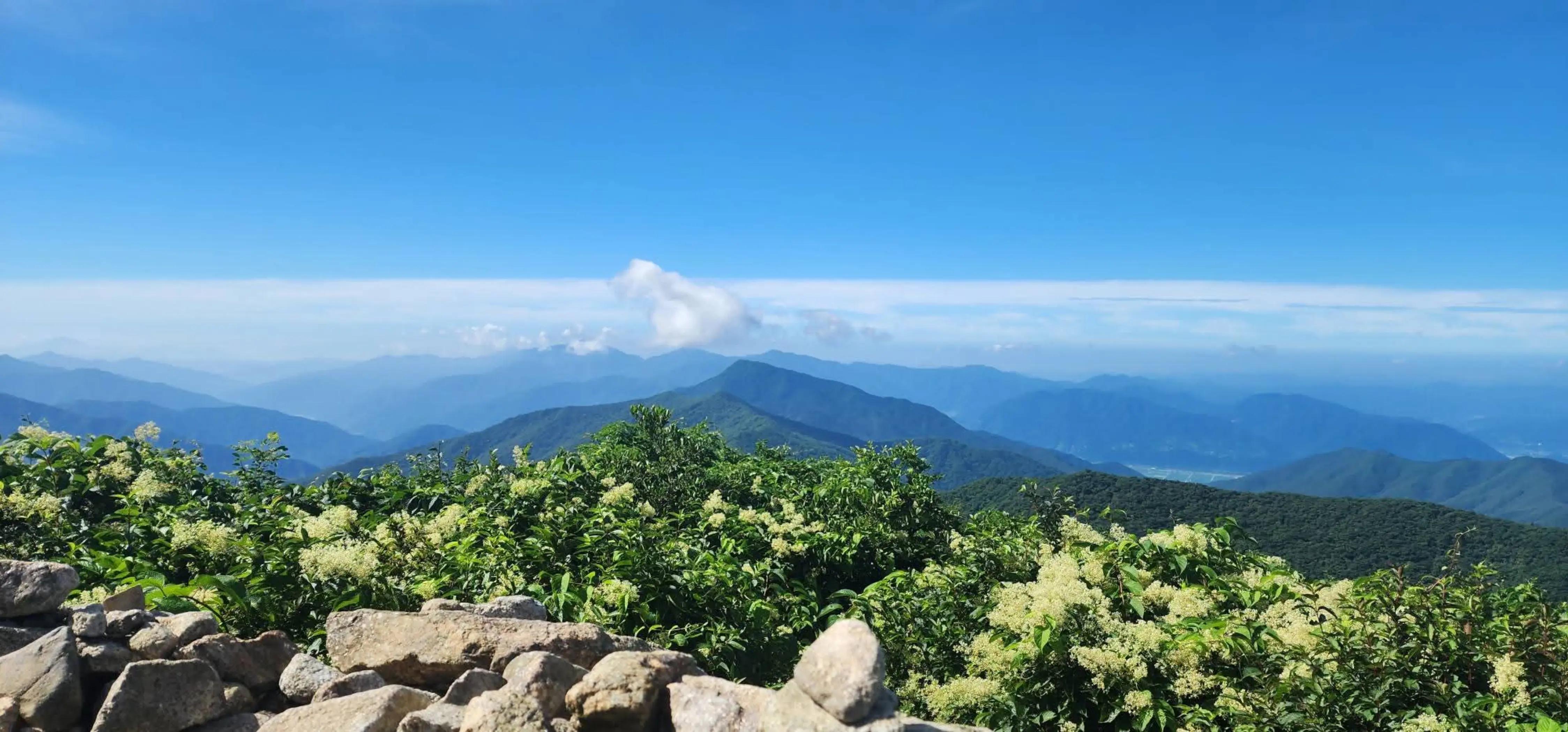 @매동산인