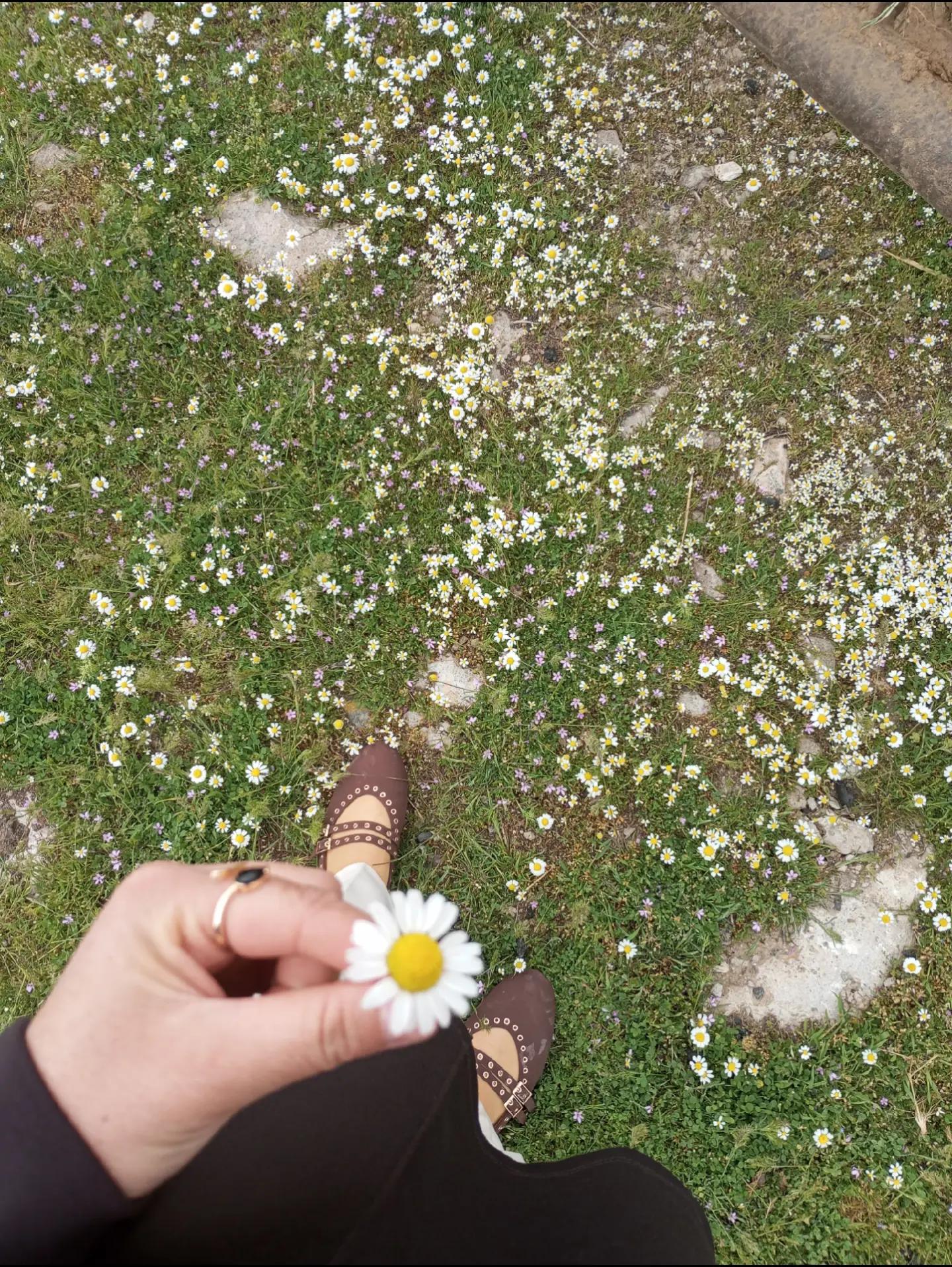 @🌹🥀