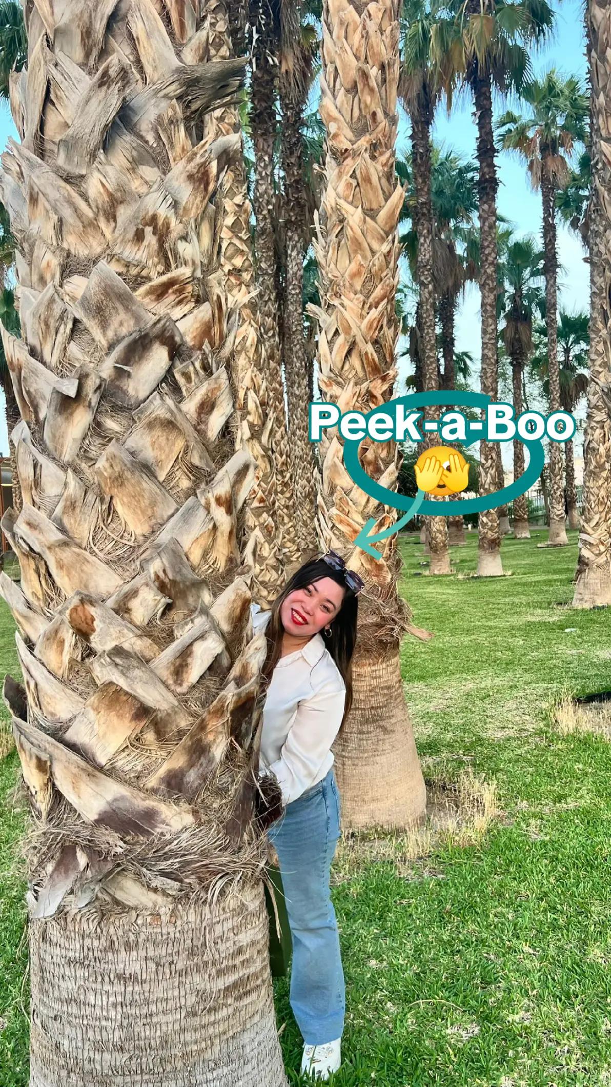 @🌼SHIELA🌼🇰🇼