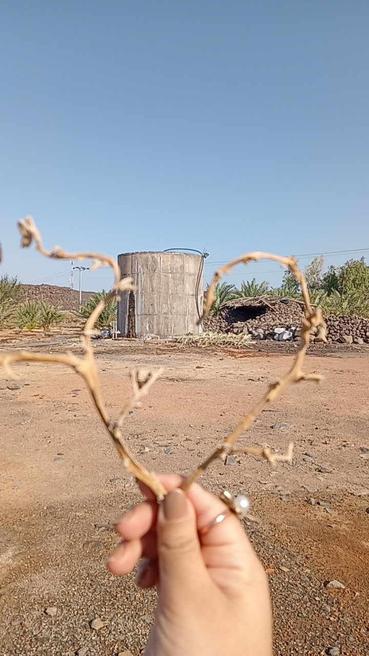 @بلوقر | اصايل العنزي 📸🌿
