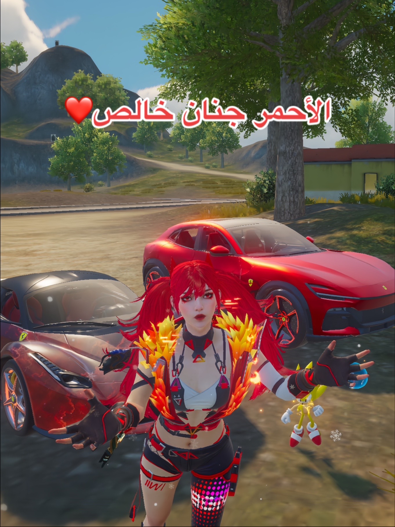 @ʚMaryamɞ