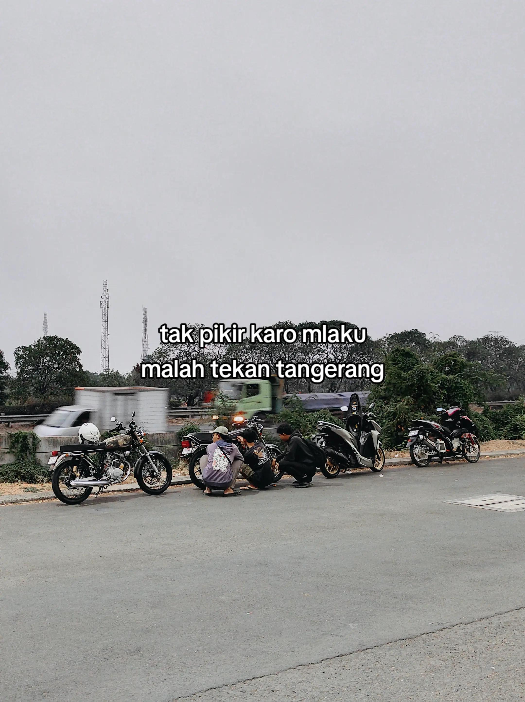 @ojan