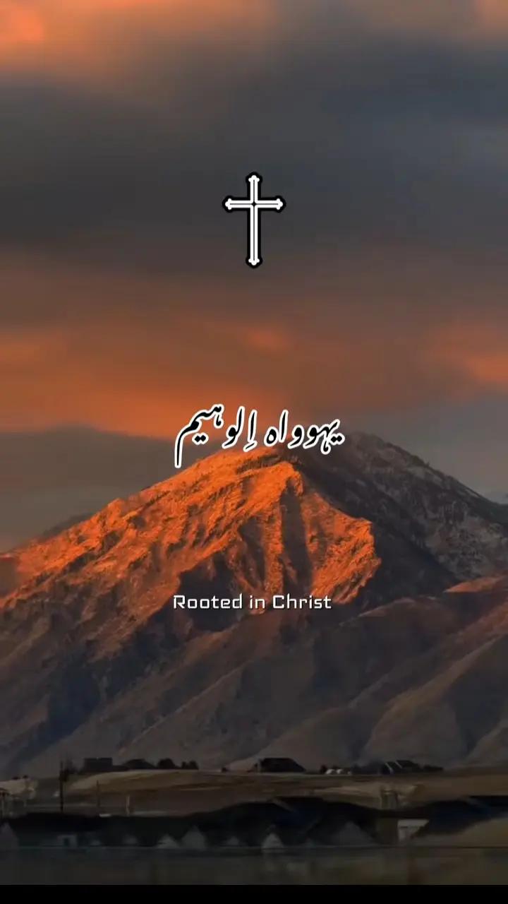 @چٹا صاحب 214✨🖤