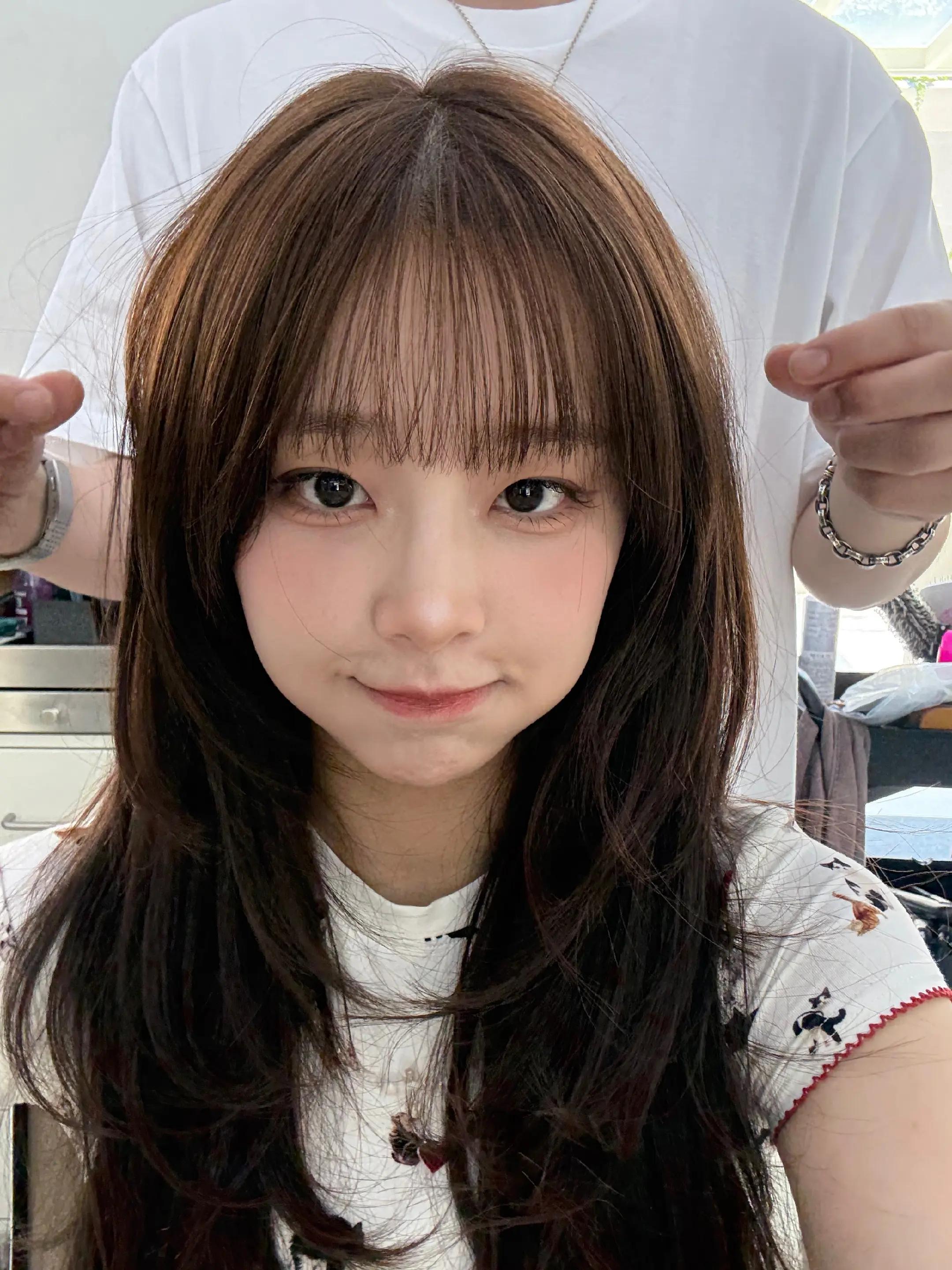 @🐨