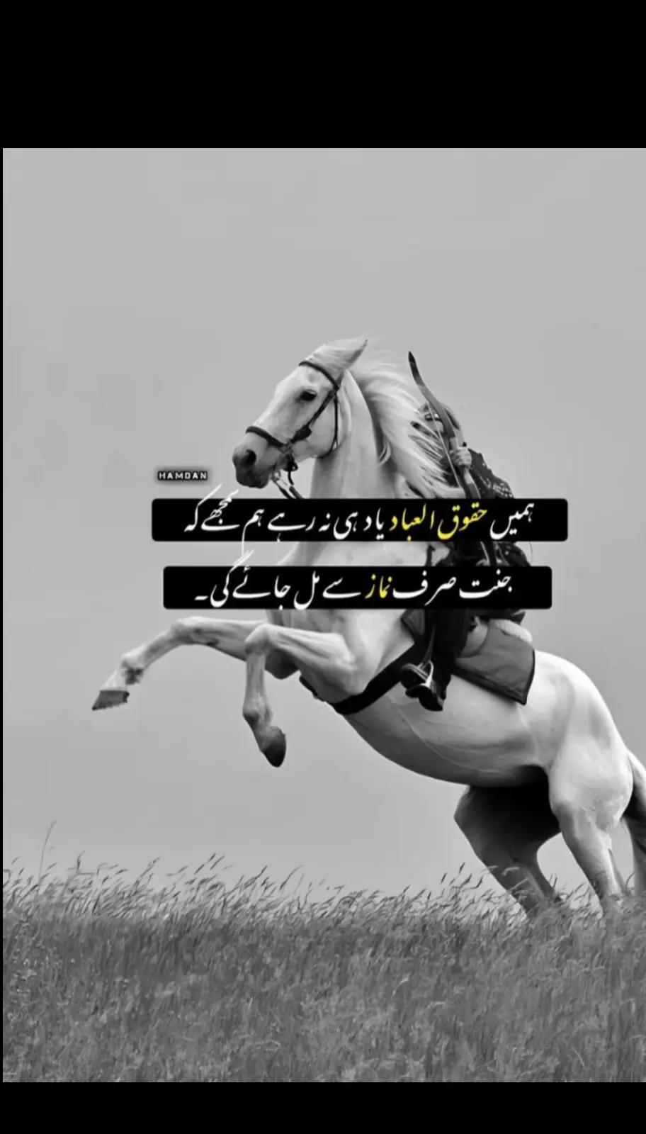@😭ہائے میں گناہگار سی🙏🏻
