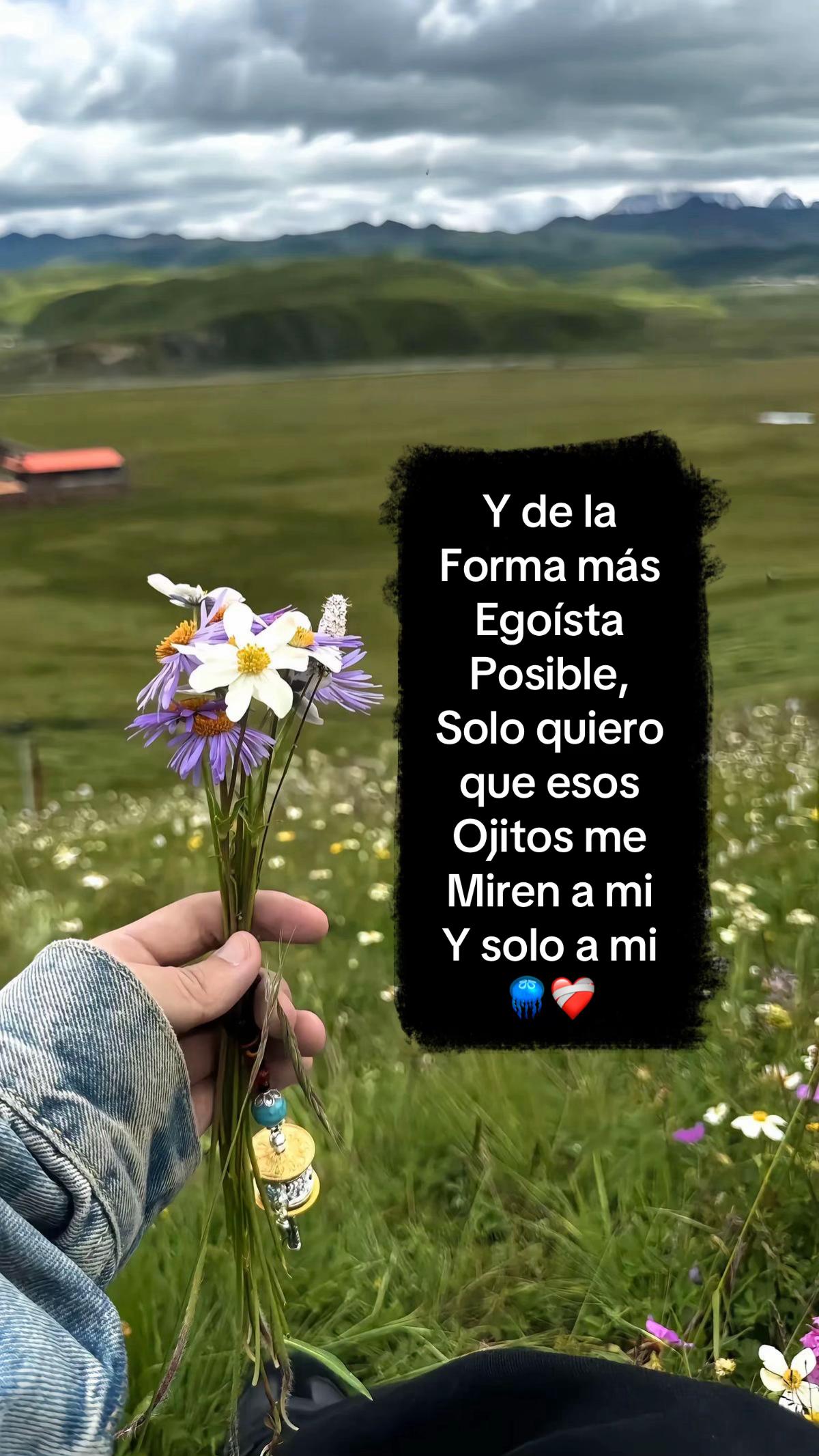 @𝐓𝐚𝐲𝐥𝐨𝐫 𝐭𝐫𝐨𝐬𝐭𝐞