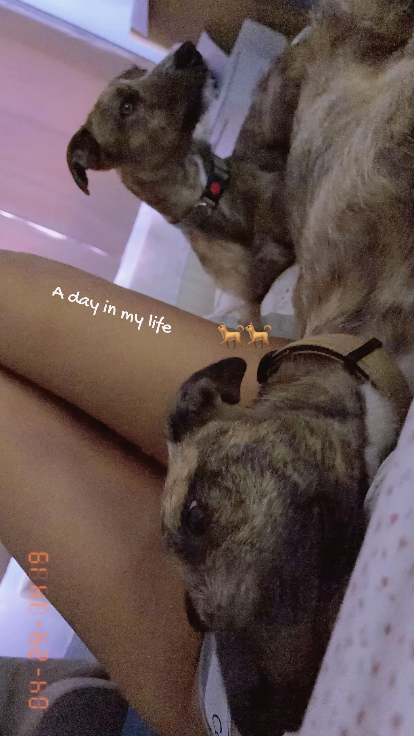 @๐ค๐ฝแแแ: แแแ Leesh ๐ค๐ชท๐ธ