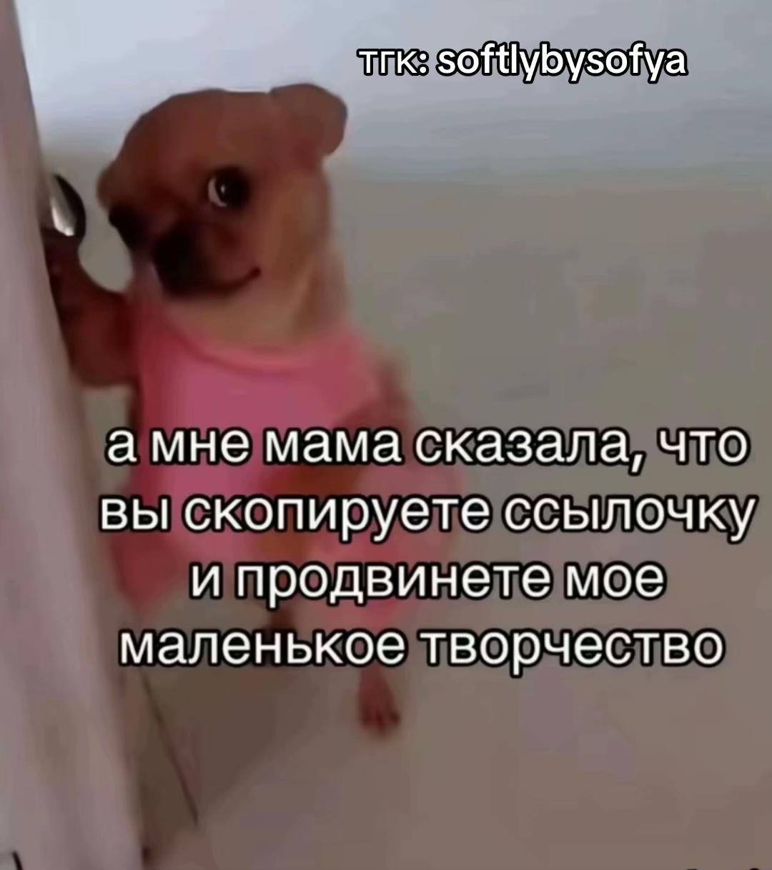 @softlybysofya
