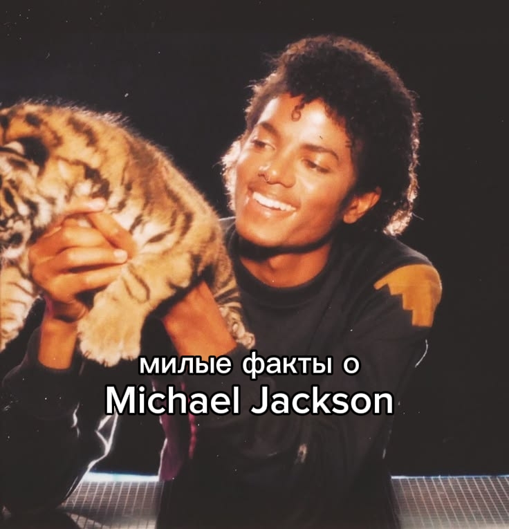 @menglis.jacksons