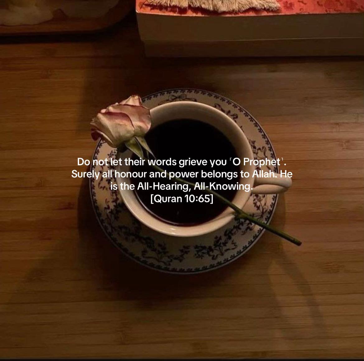 @🌺