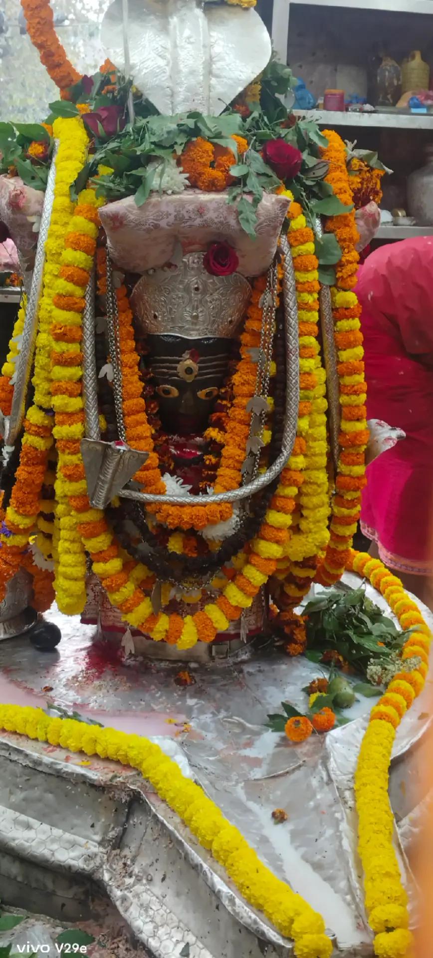 @Renu Mandal845