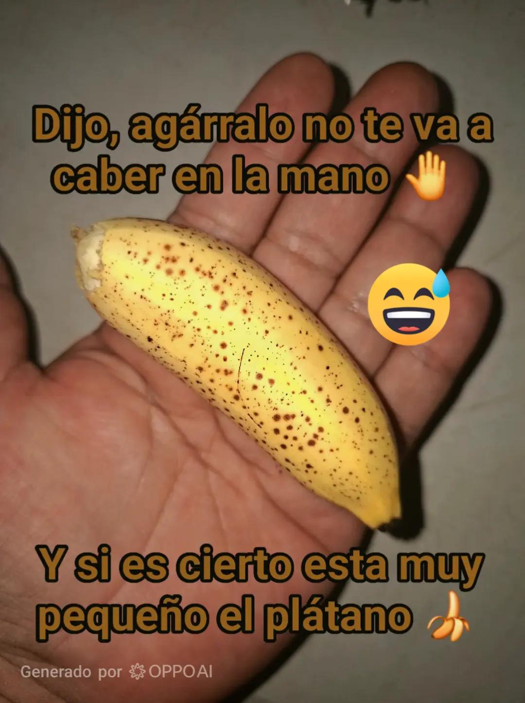 @🌻tina Montiel Lara. 🌻