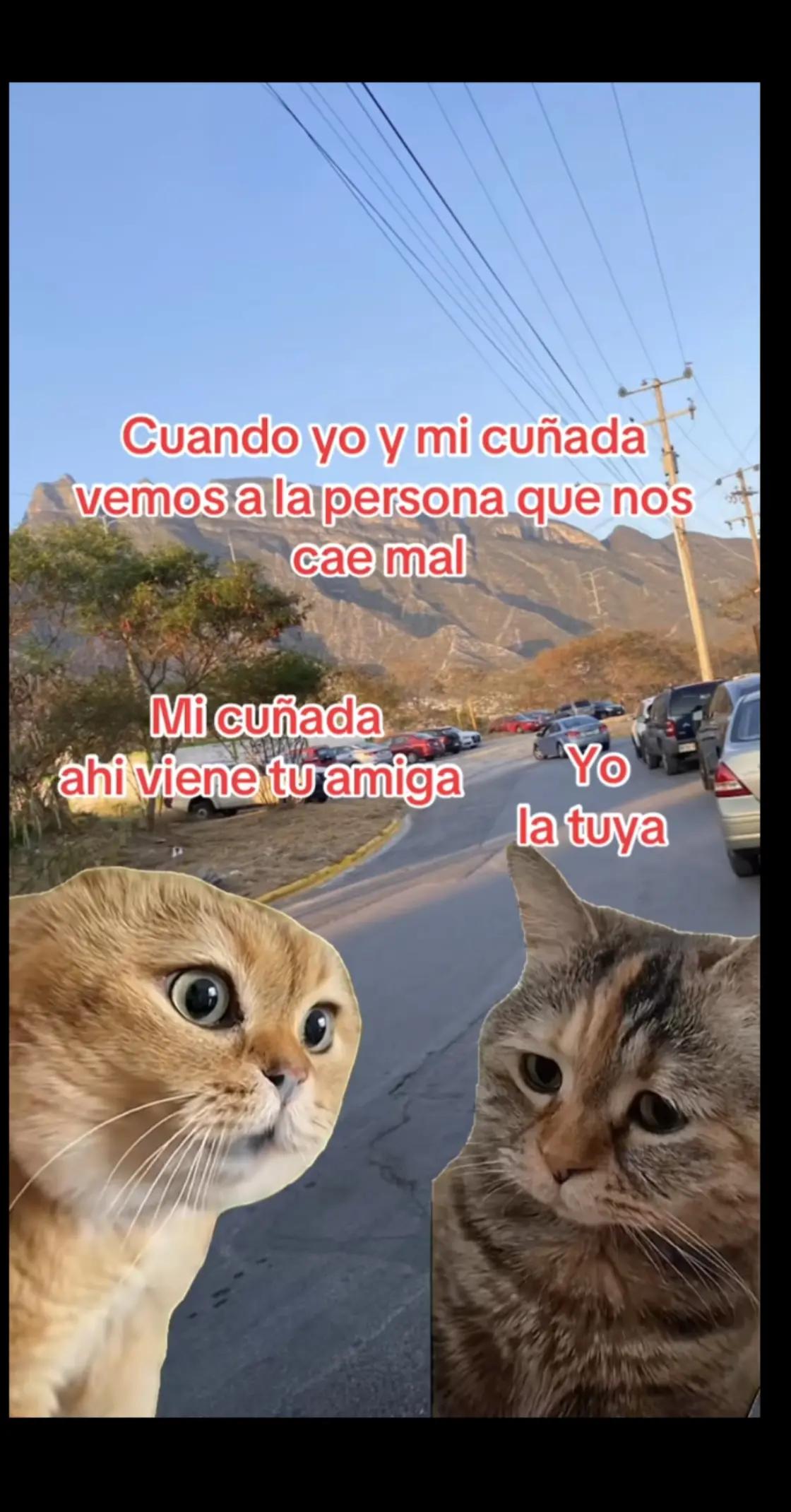 @María Baque